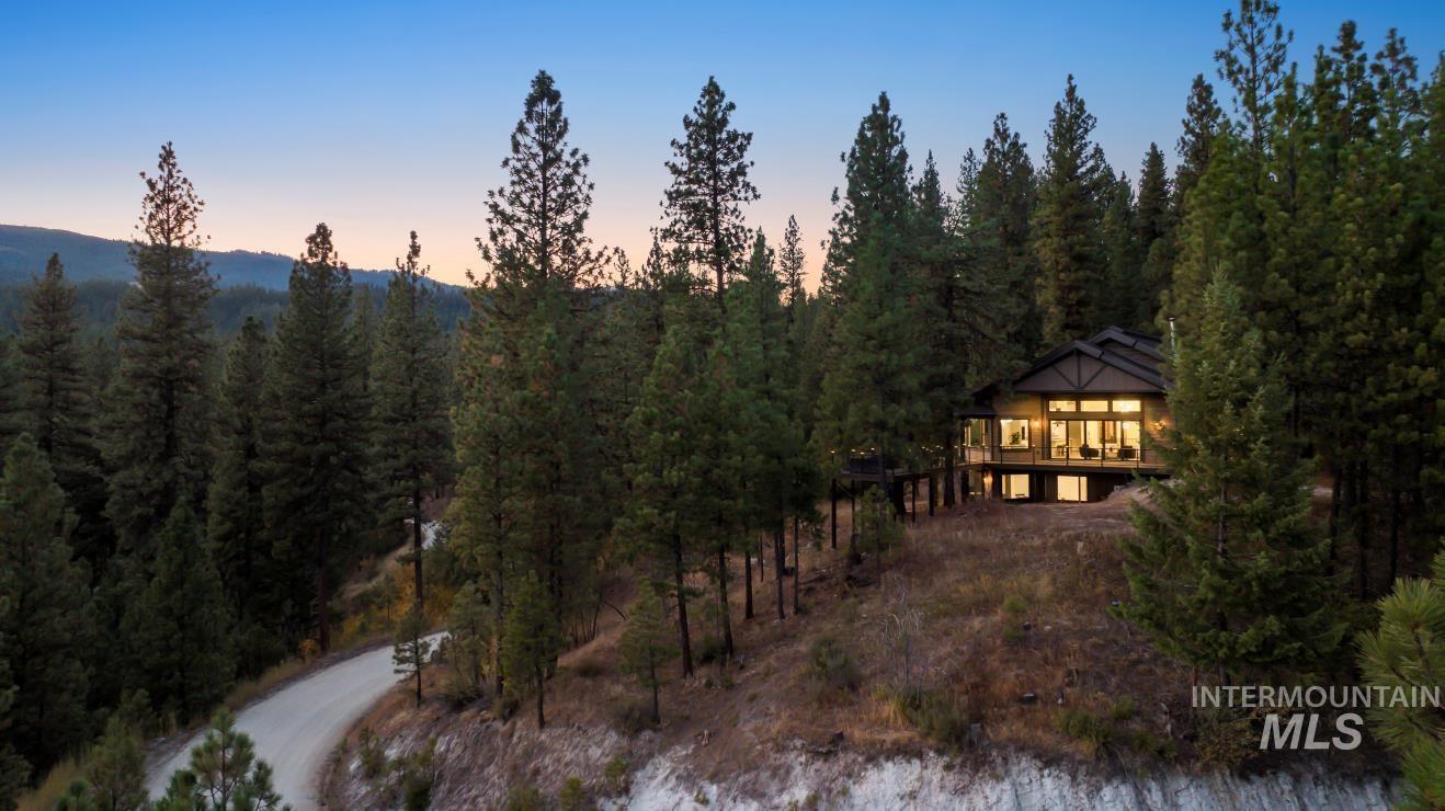 View of mountain background with a forest