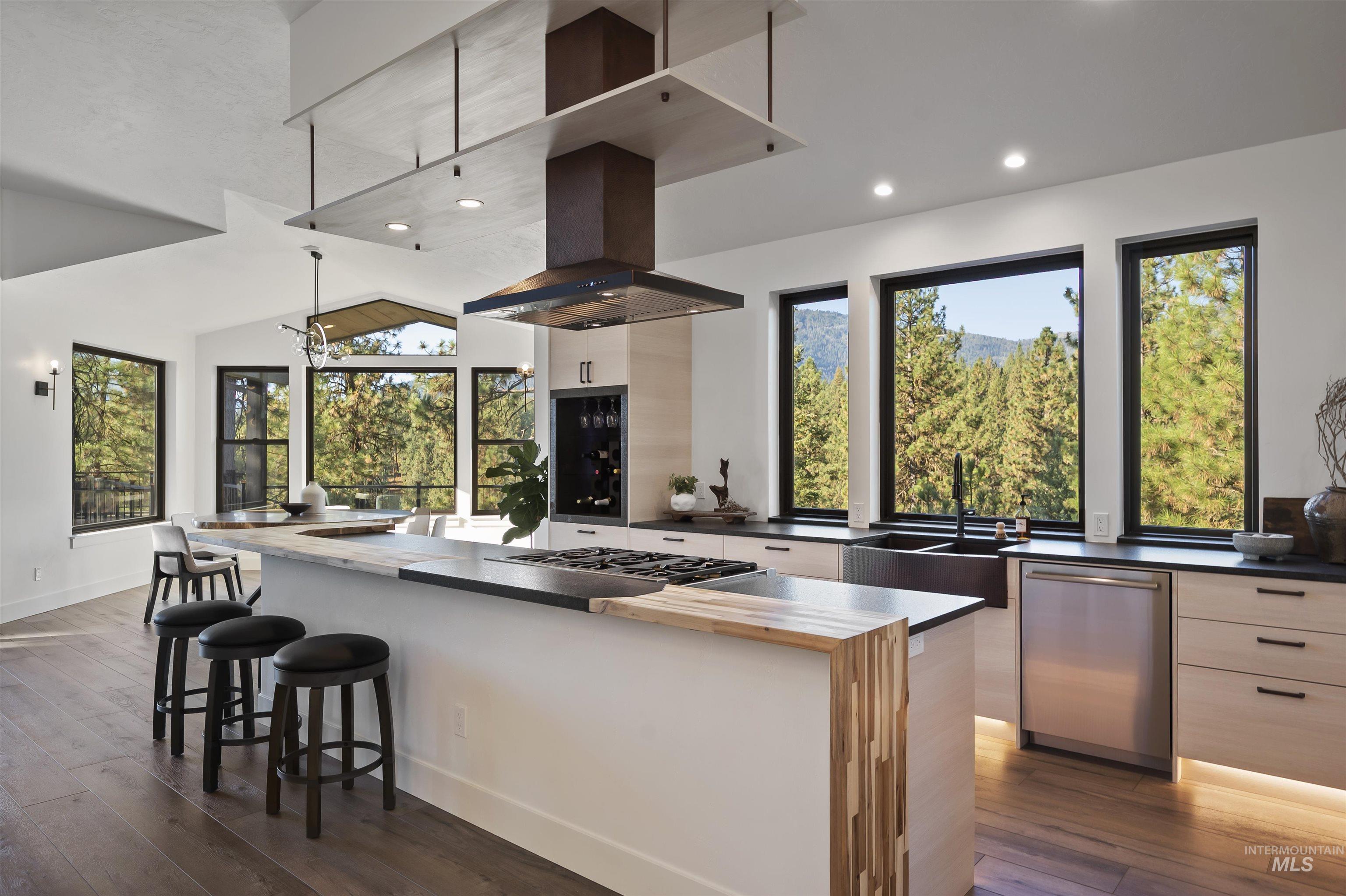 Kitchen with modern cabinets, dark wood finished floors, appliances with stainless steel finishes, plenty of natural light, and recessed lighting