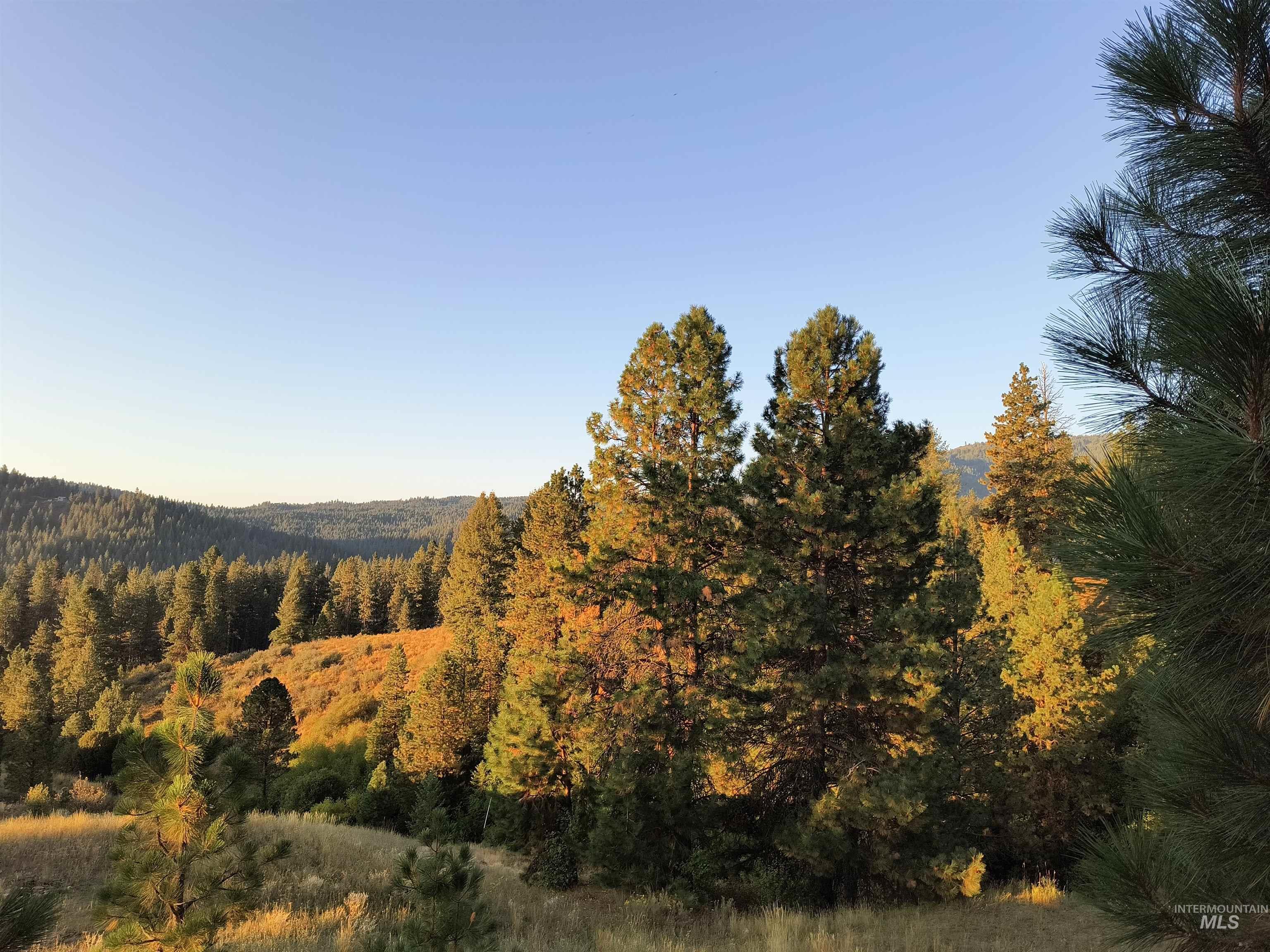 View of mountain background with a forest