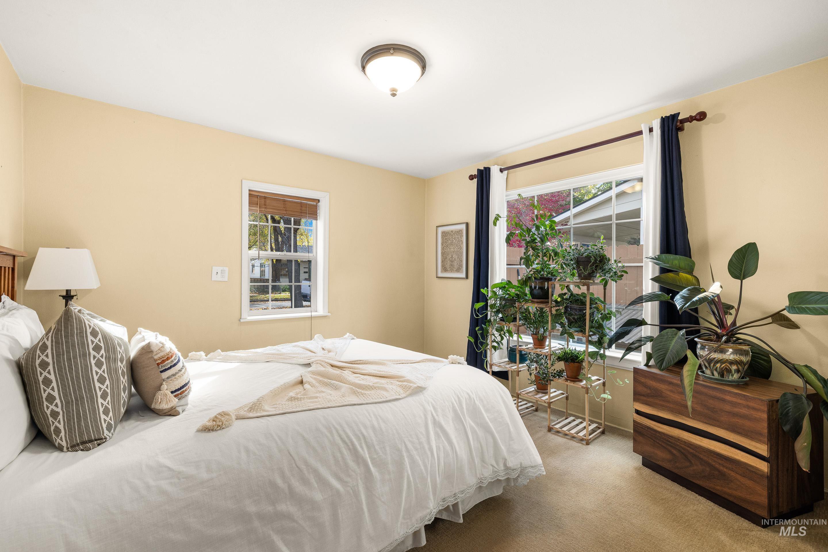 Carpeted bedroom featuring multiple windows