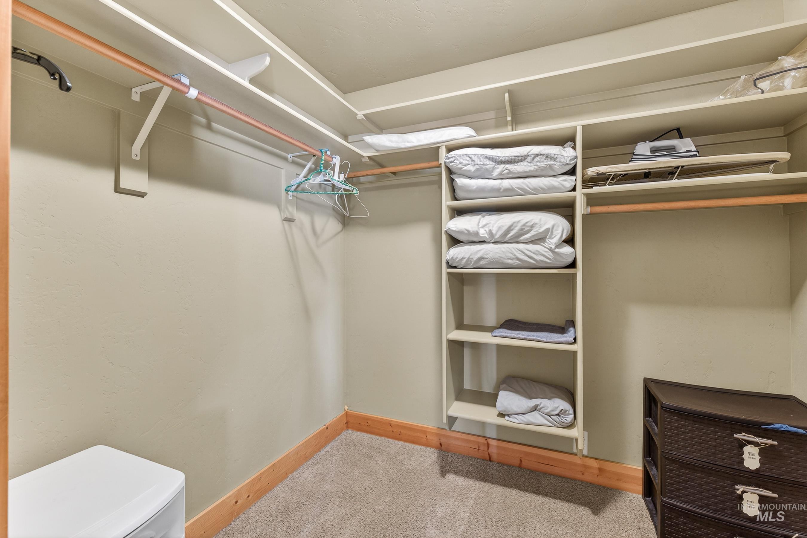 Walk in closet featuring light colored carpet