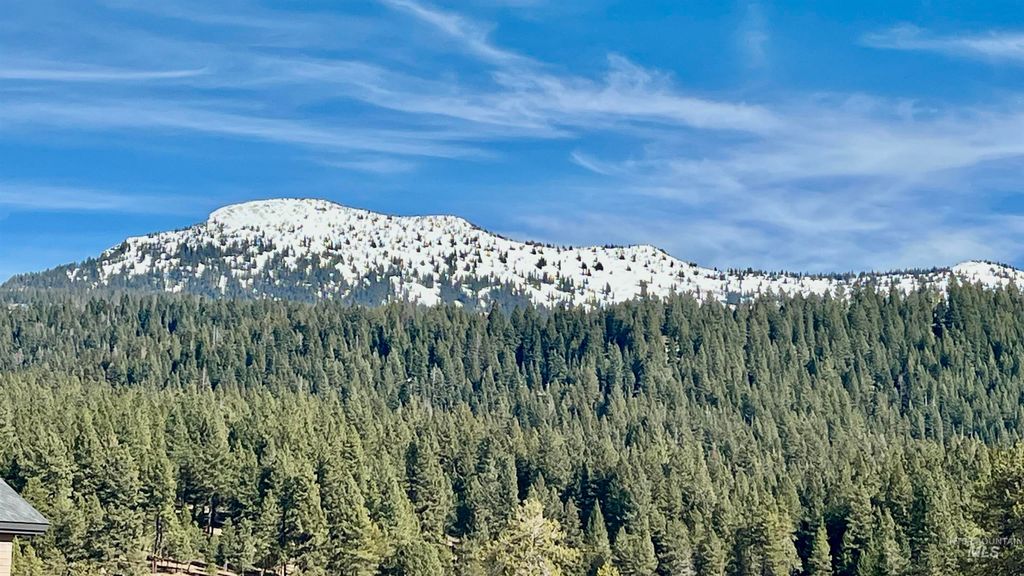 Photo of 319 Otter Pond Ln, McCall, ID 83638 (MLS # 98978333)