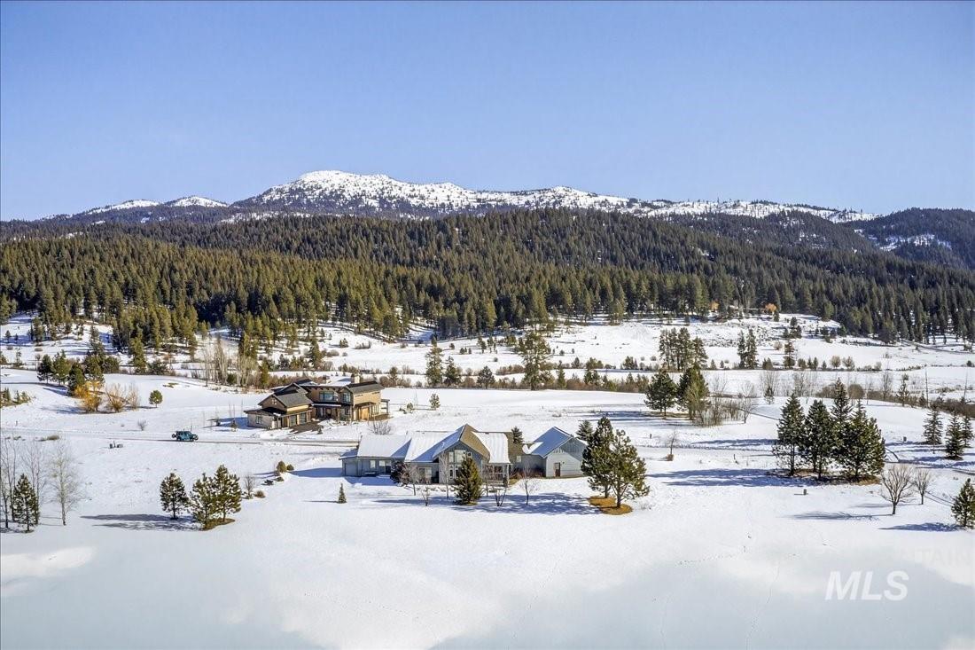 View of mountain background with a heavily wooded area