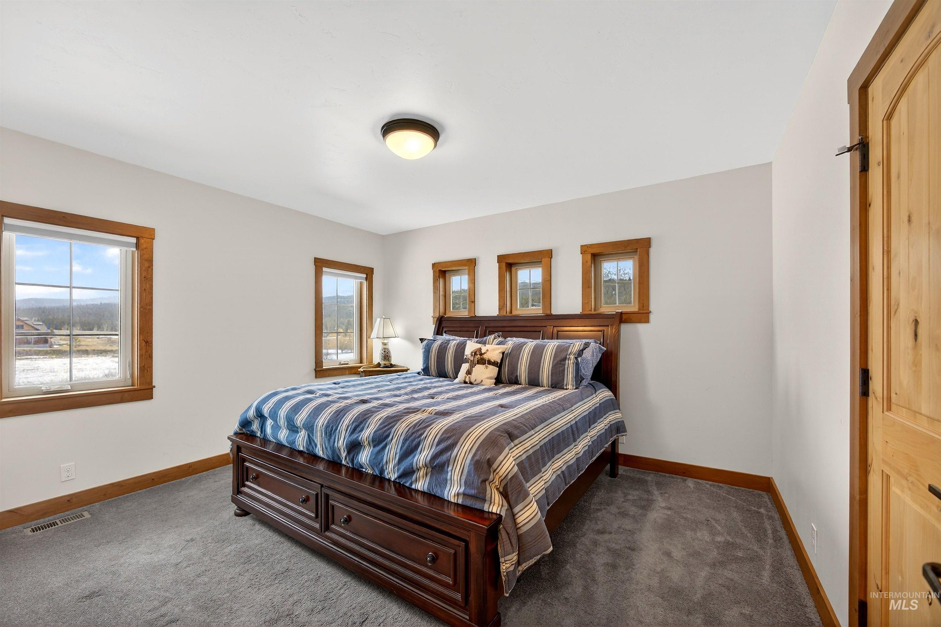 Carpeted room featuring a ceiling-mounted light fixture, light-toned walls, and multiple windows with wood trim