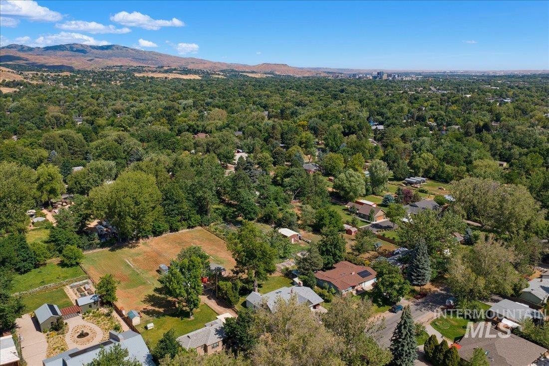 Expansive aerial perspective showcasing a tree-lined residential area with distant mountainous terrain and a city skyline