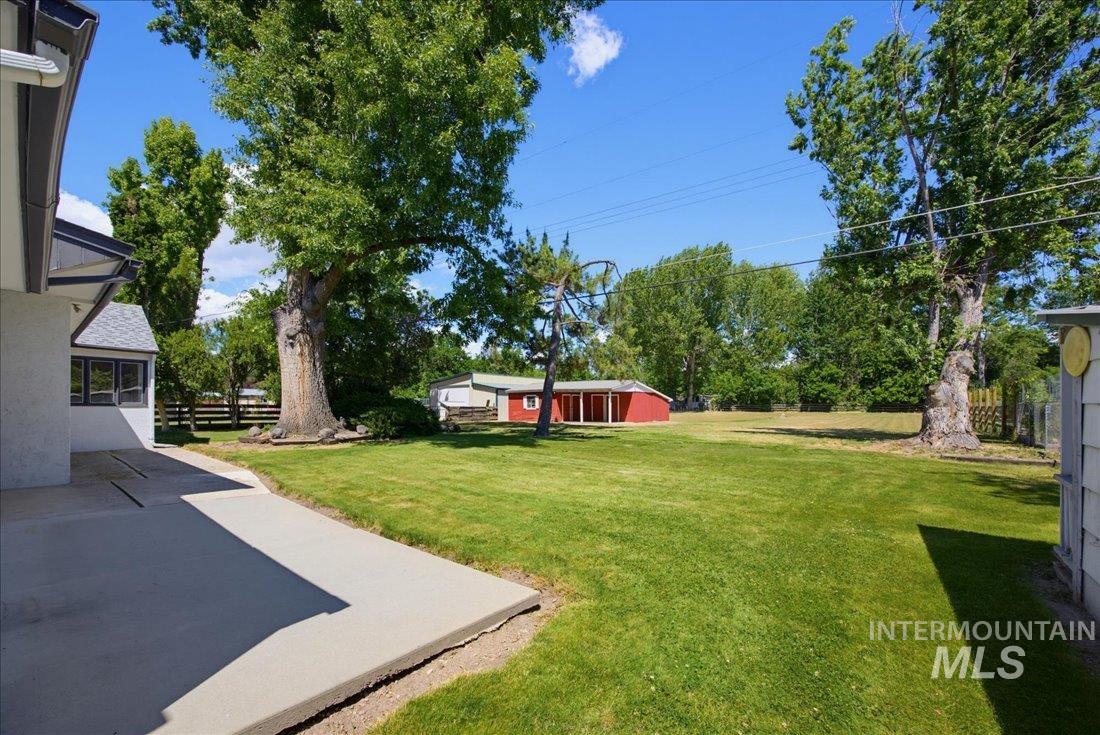 Expansive green lawn with mature trees and a concrete patio