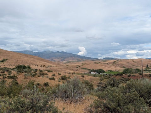 Photo of TBD Shaw Lane, Council, ID 83612 (MLS # 98992230)