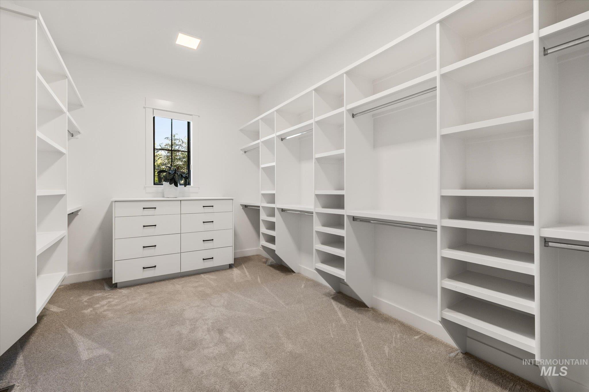 Spacious closet with carpet floors
