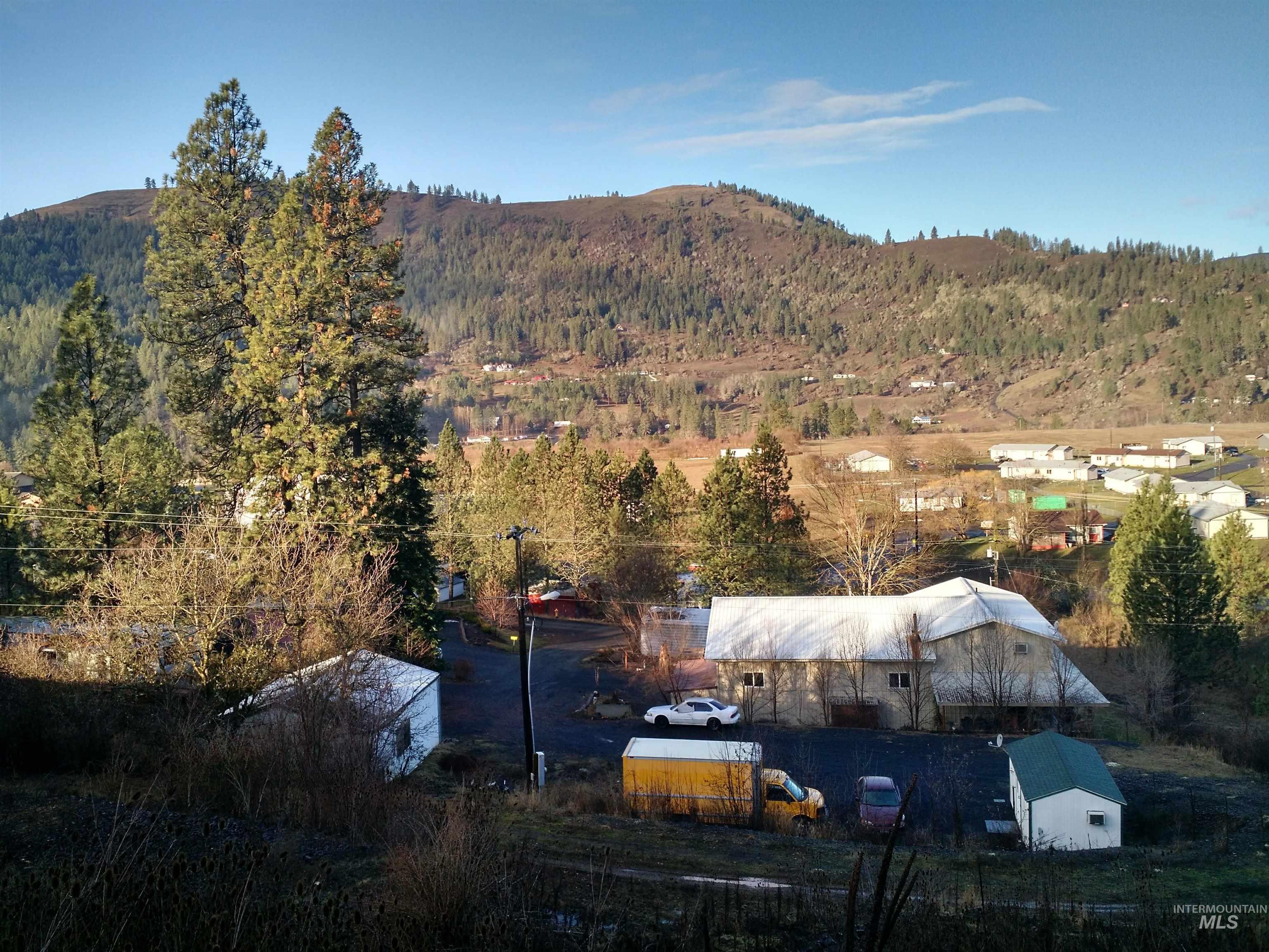 Mountain view featuring a forest