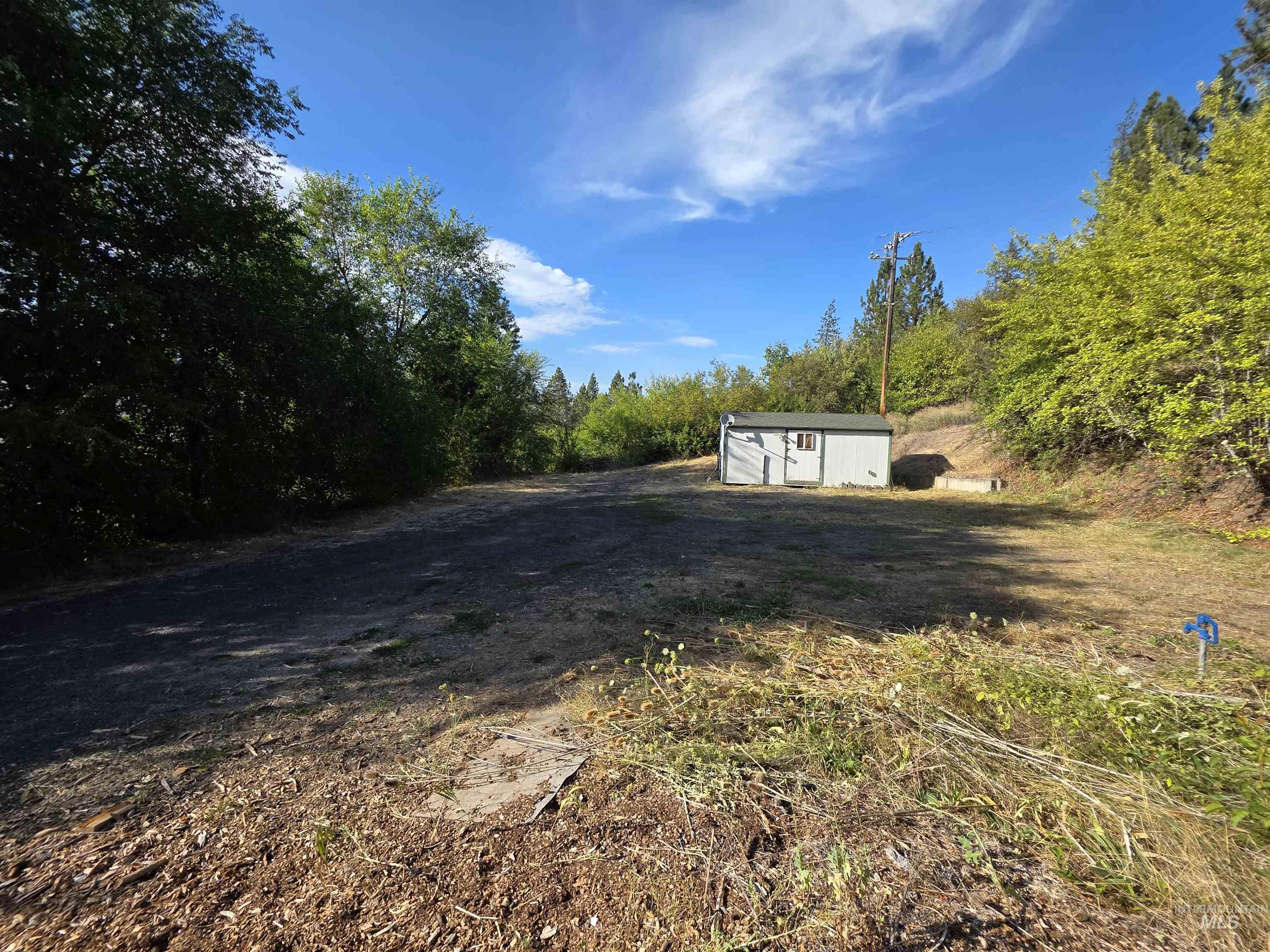 View of yard with a storage shed