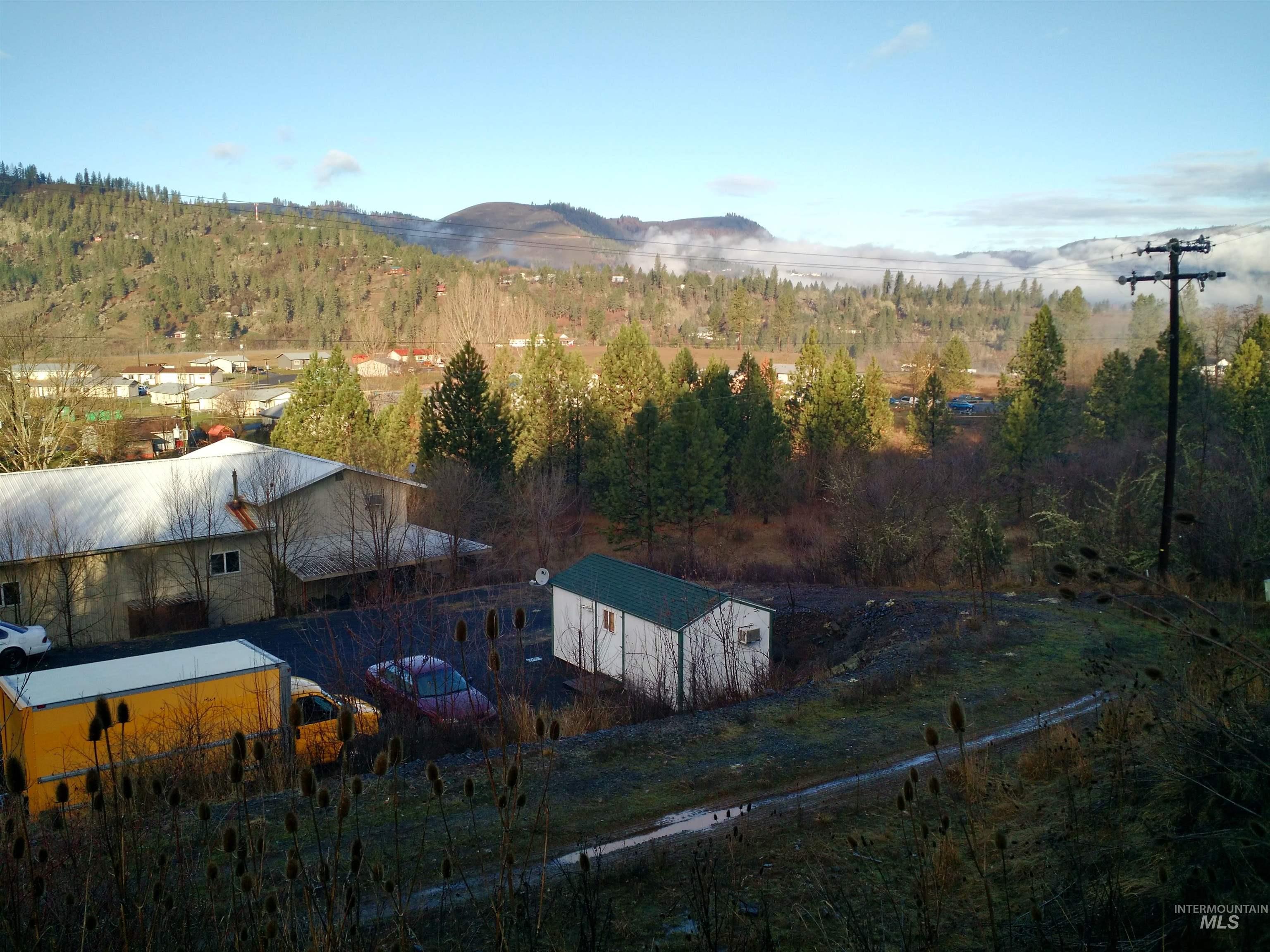 View of mountain backdrop with a heavily wooded area
