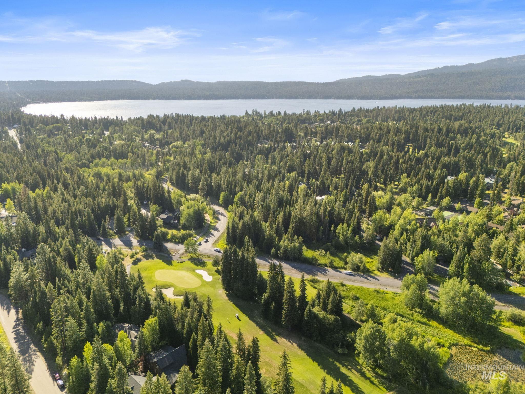 Aerial view of a water and mountain view and a forest