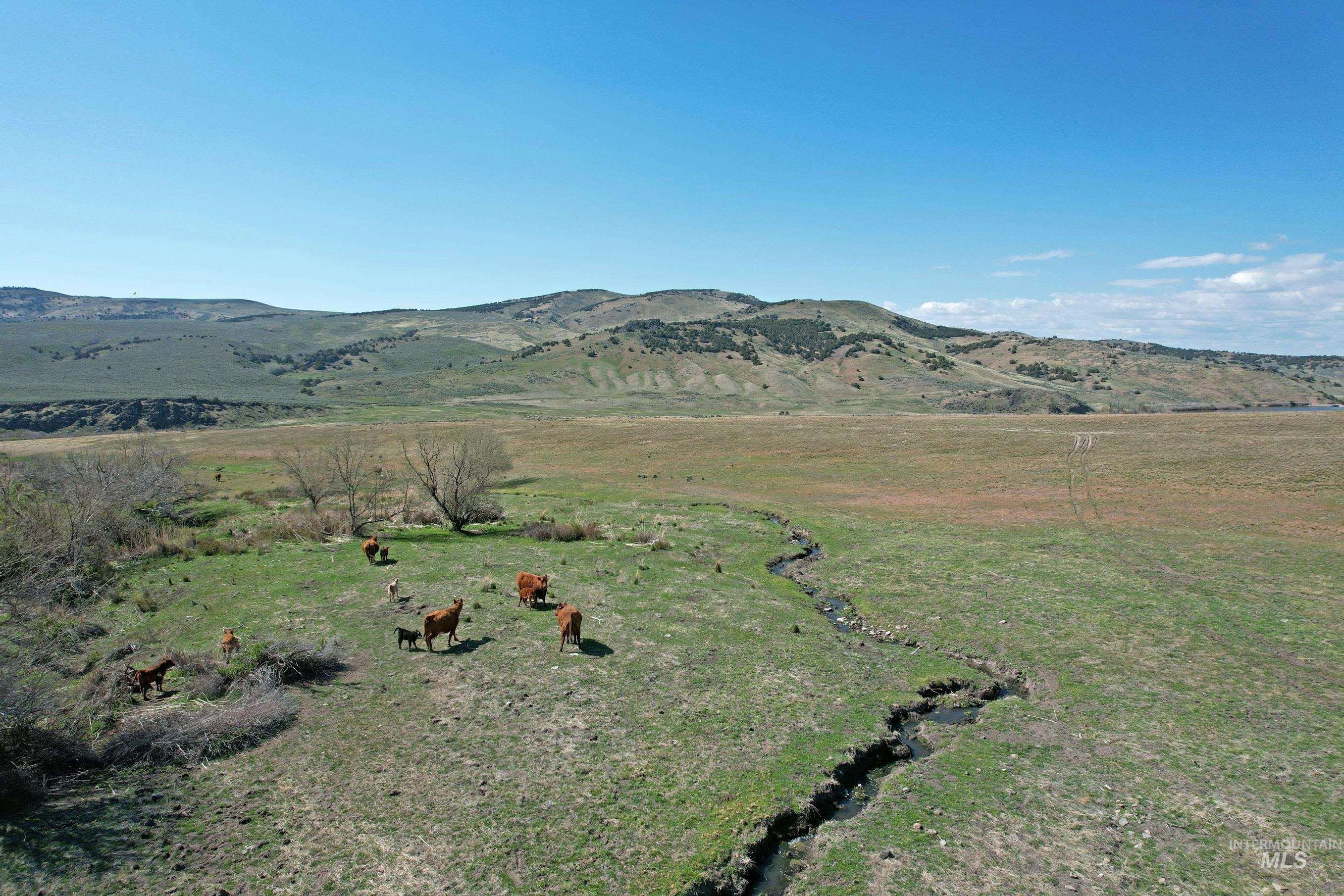 View of mountain background with rural landscape