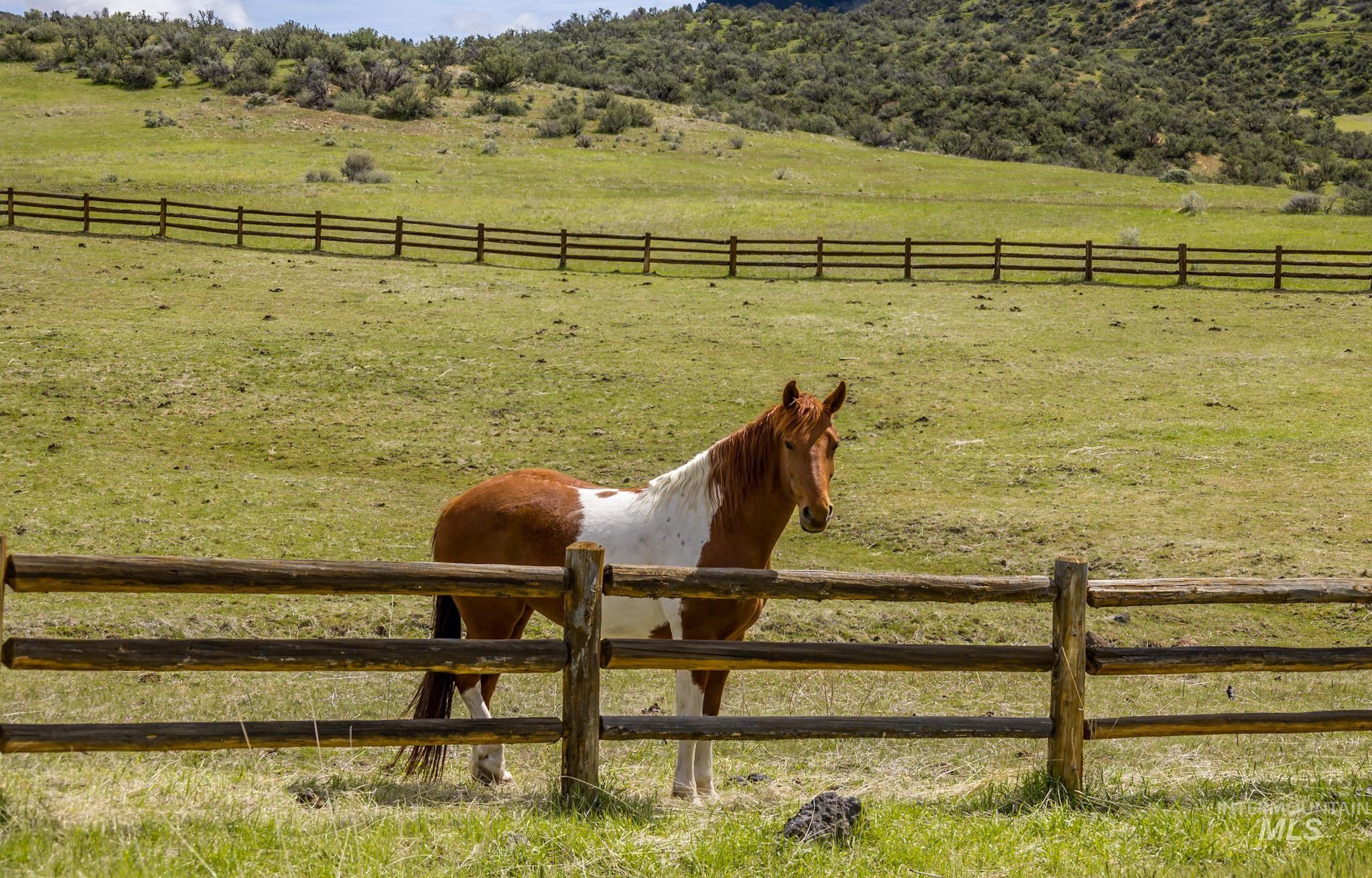 View of yard with a rural view