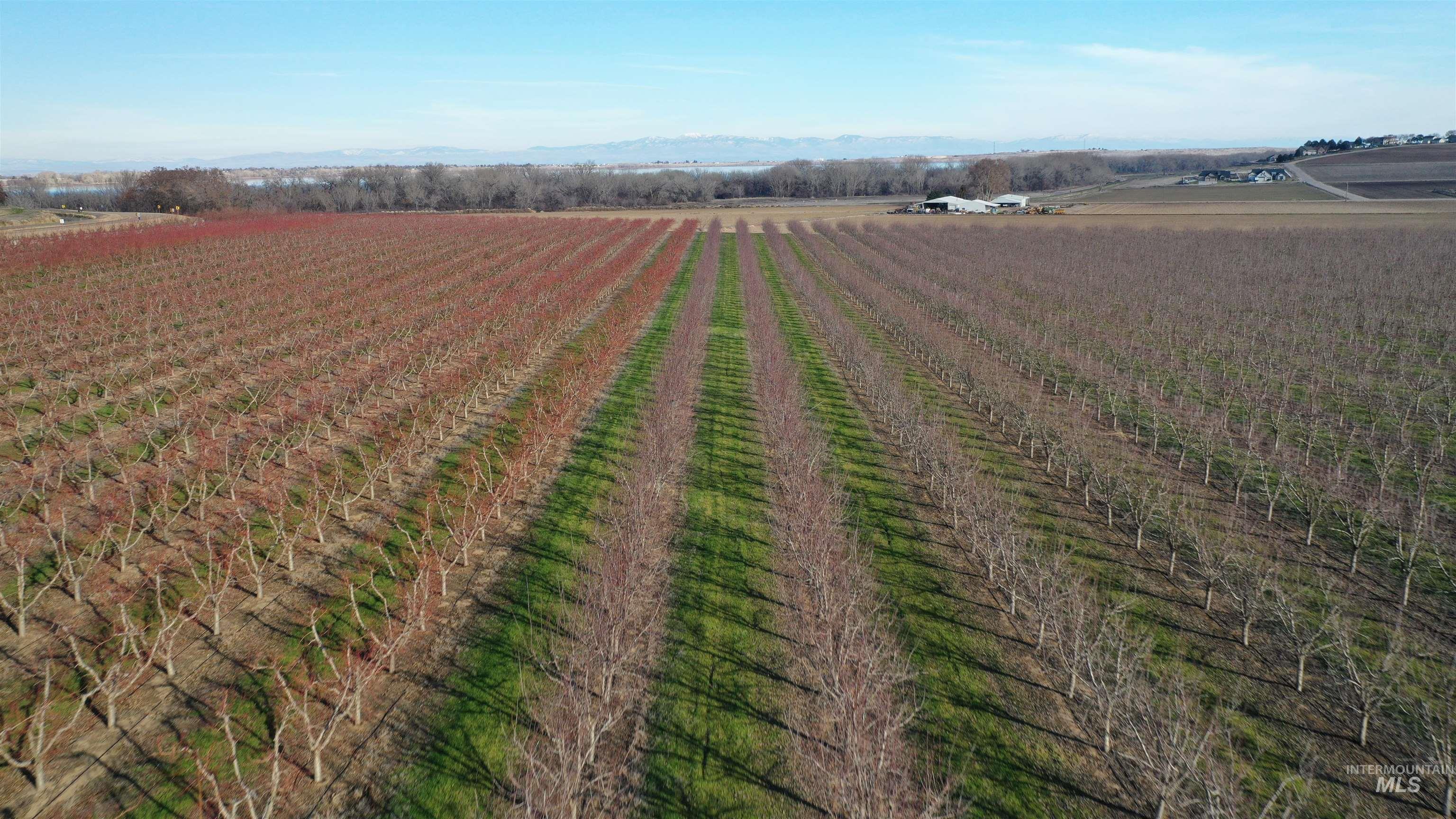 View of rural area featuring abundant farmland