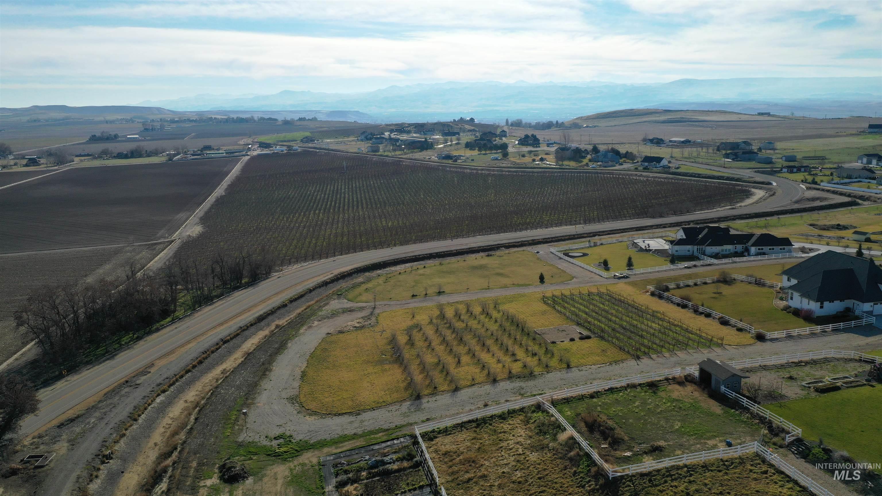 Overview of rural landscape with rows of crops and a mountain backdrop