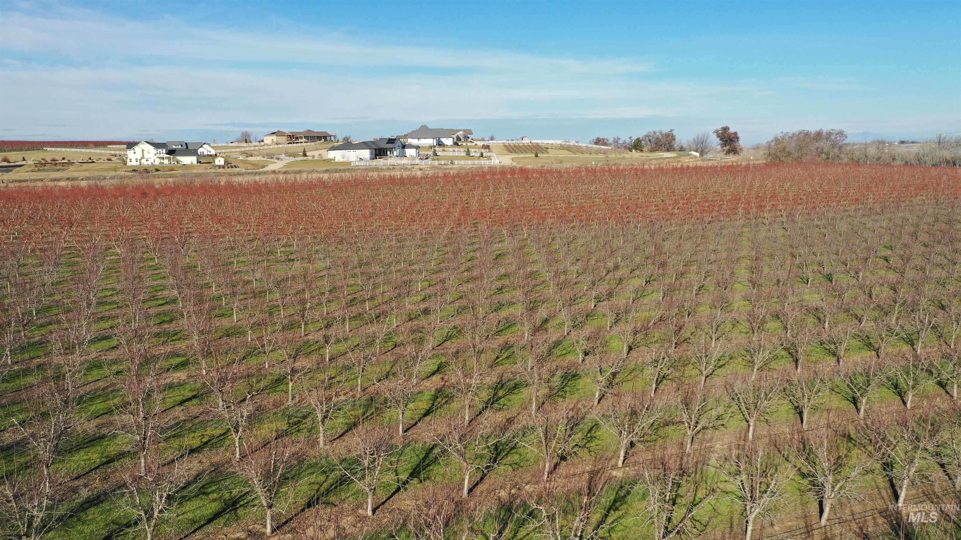 View of yard featuring a view of rural / pastoral area
