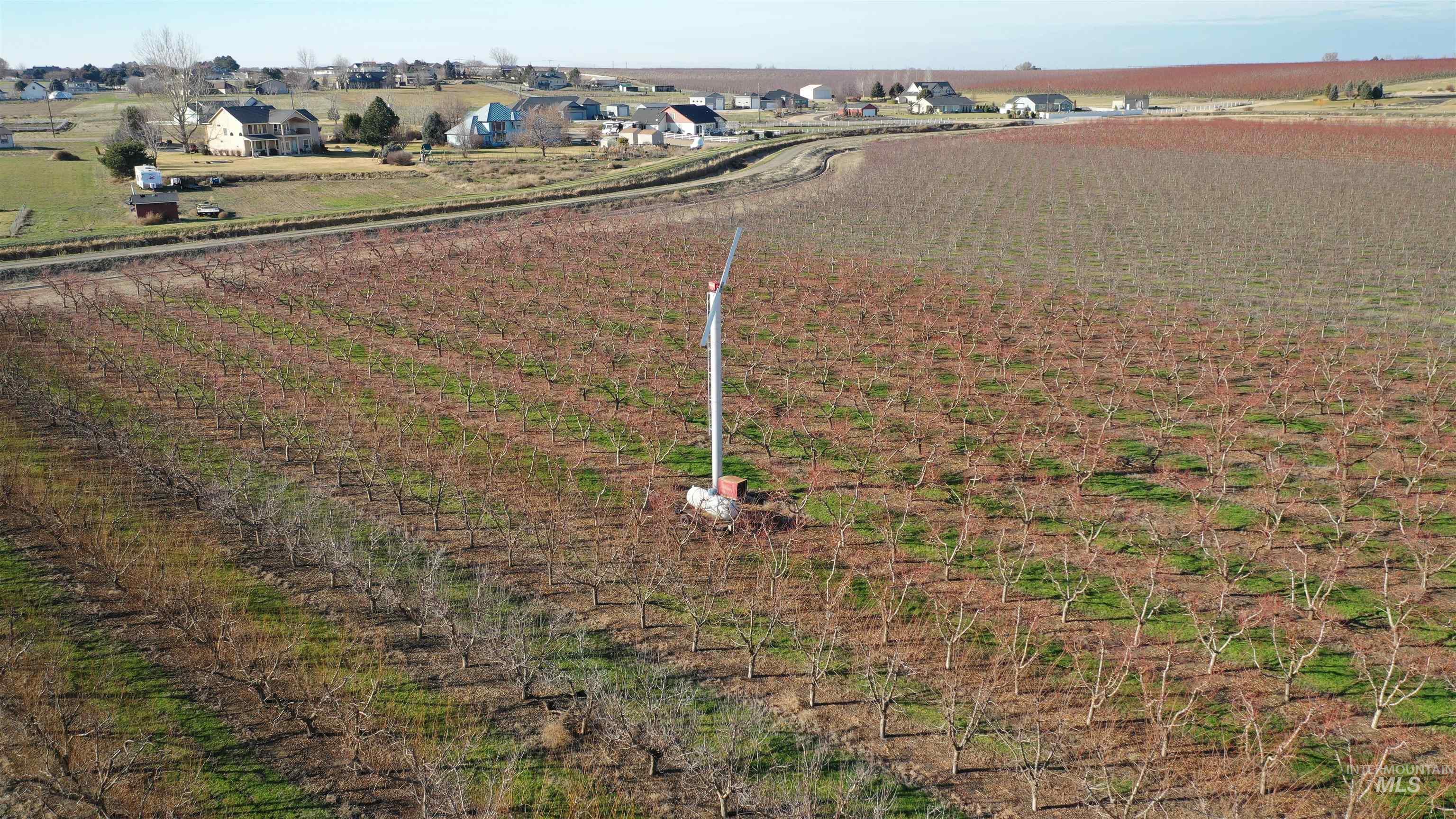 View of rural area with rows of crops