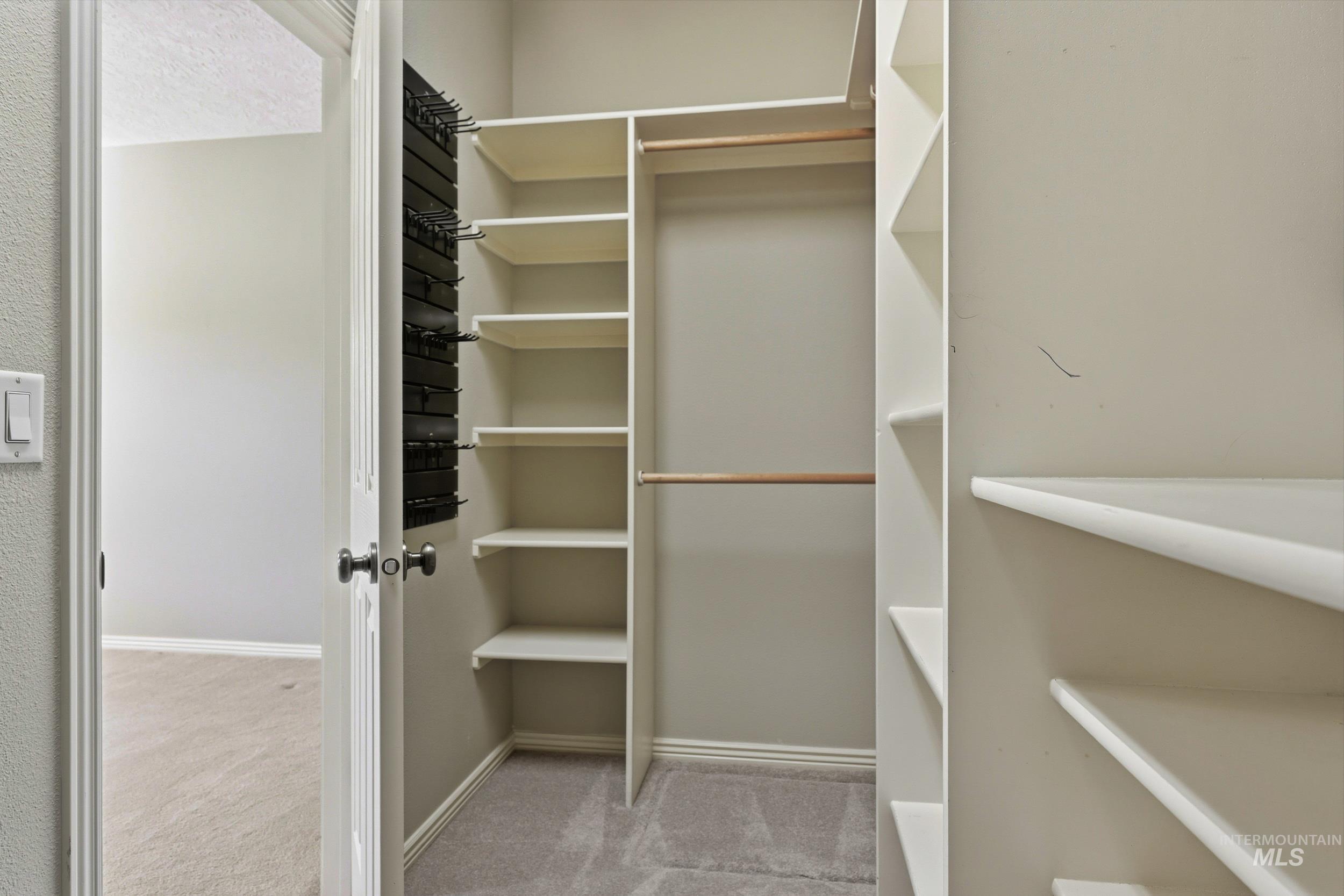 Walk in closet with light colored carpet
