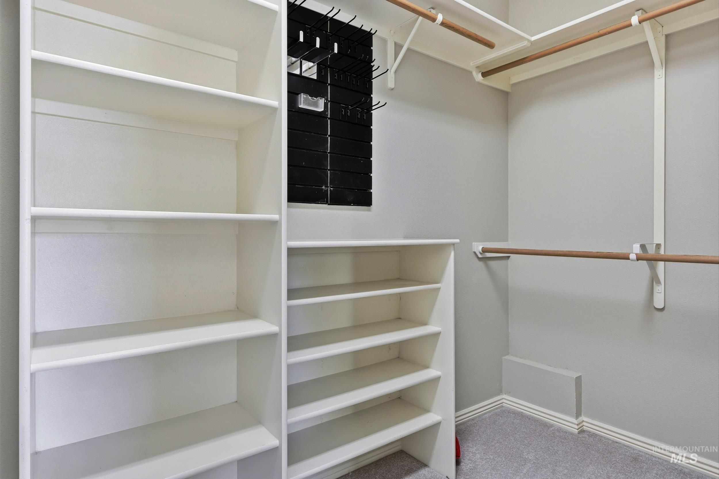 Walk in closet featuring carpet floors
