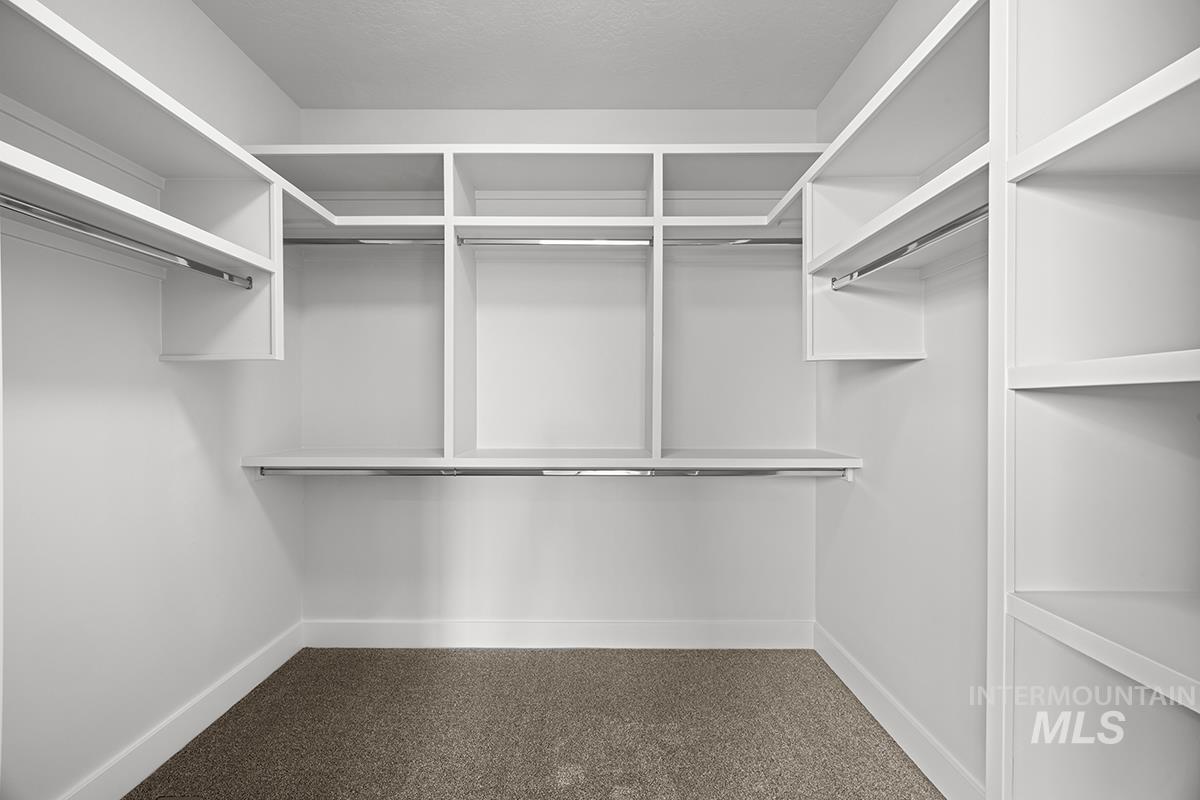 Walk-in closet featuring extensive built-in shelving, multiple hanging rods, white trim, and neutral carpeting