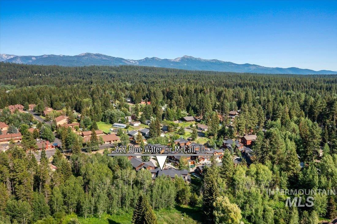 Aerial overview of property's location with a heavily wooded area and a mountainous background