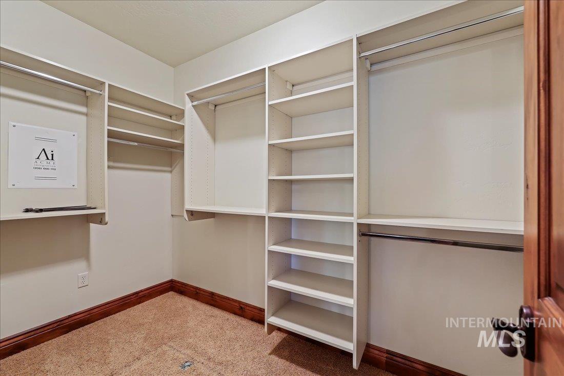 Walk in closet with carpet floors