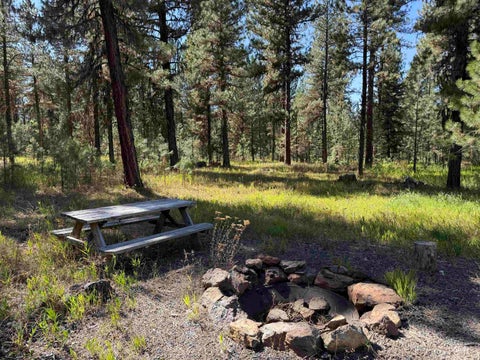 Photo of 3177 Timber Ridge Drive, New Meadows, ID 83654 (MLS # 99000708)