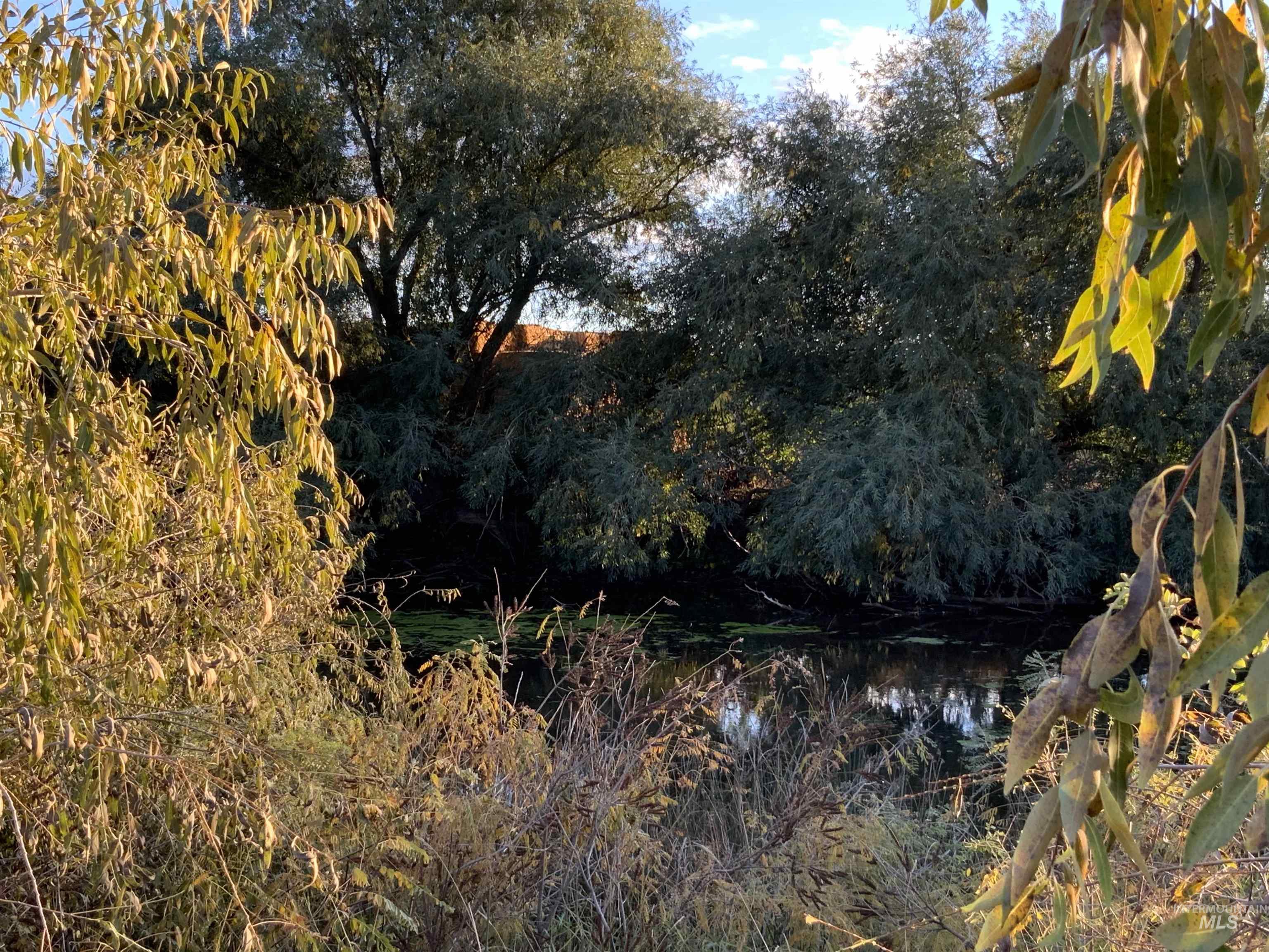 View of undeveloped land with a large body of water