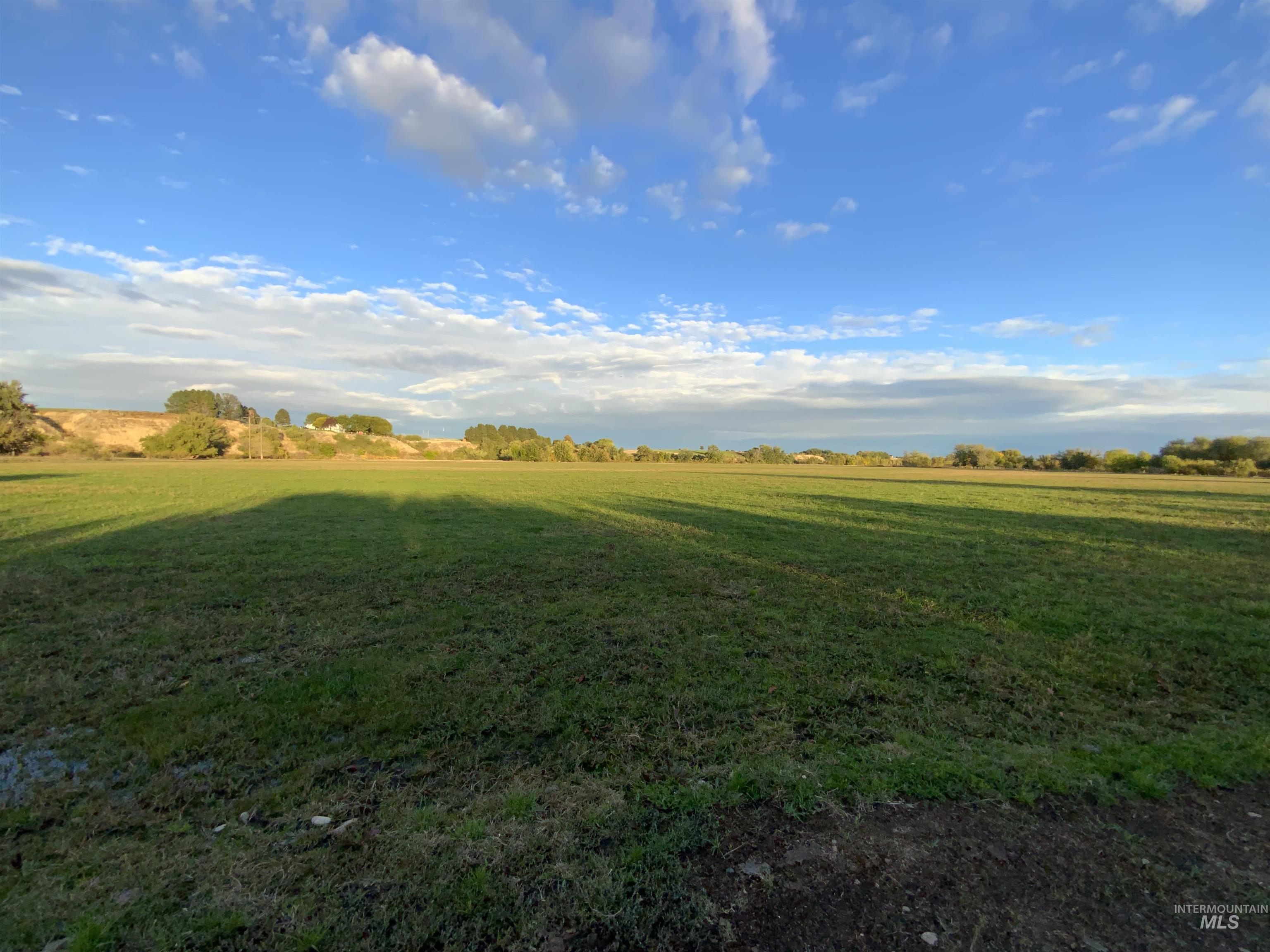 View of grassy yard with a view of rural / pastoral area