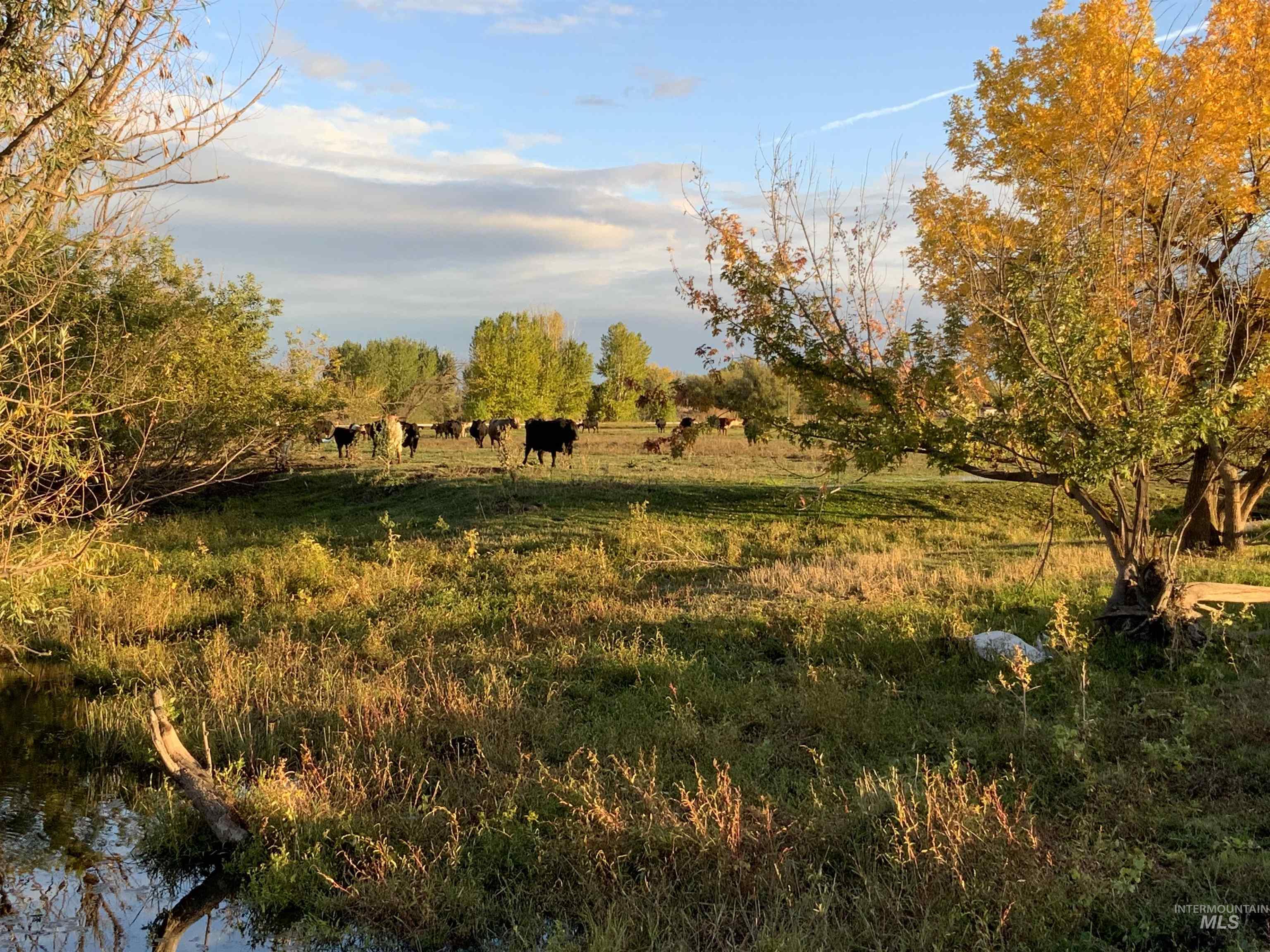 View of undeveloped land with a pastoral area and rural landscape