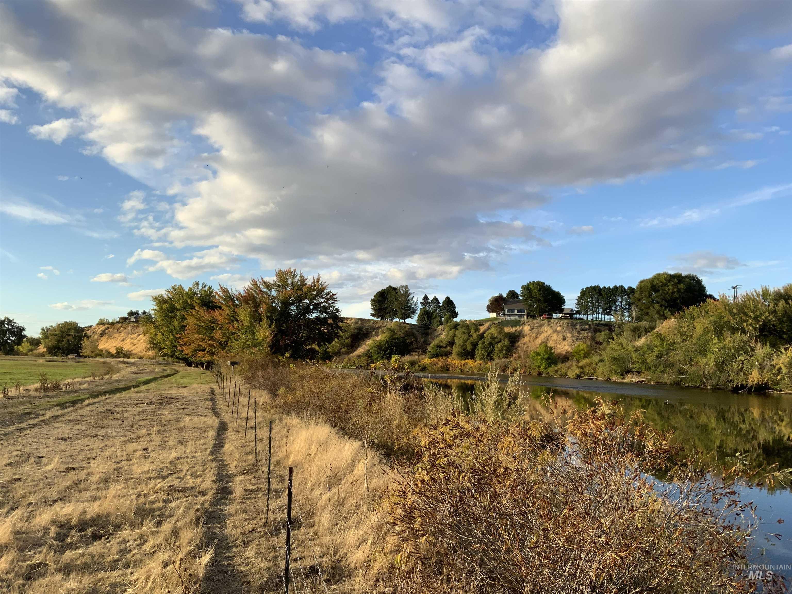 View of local wilderness