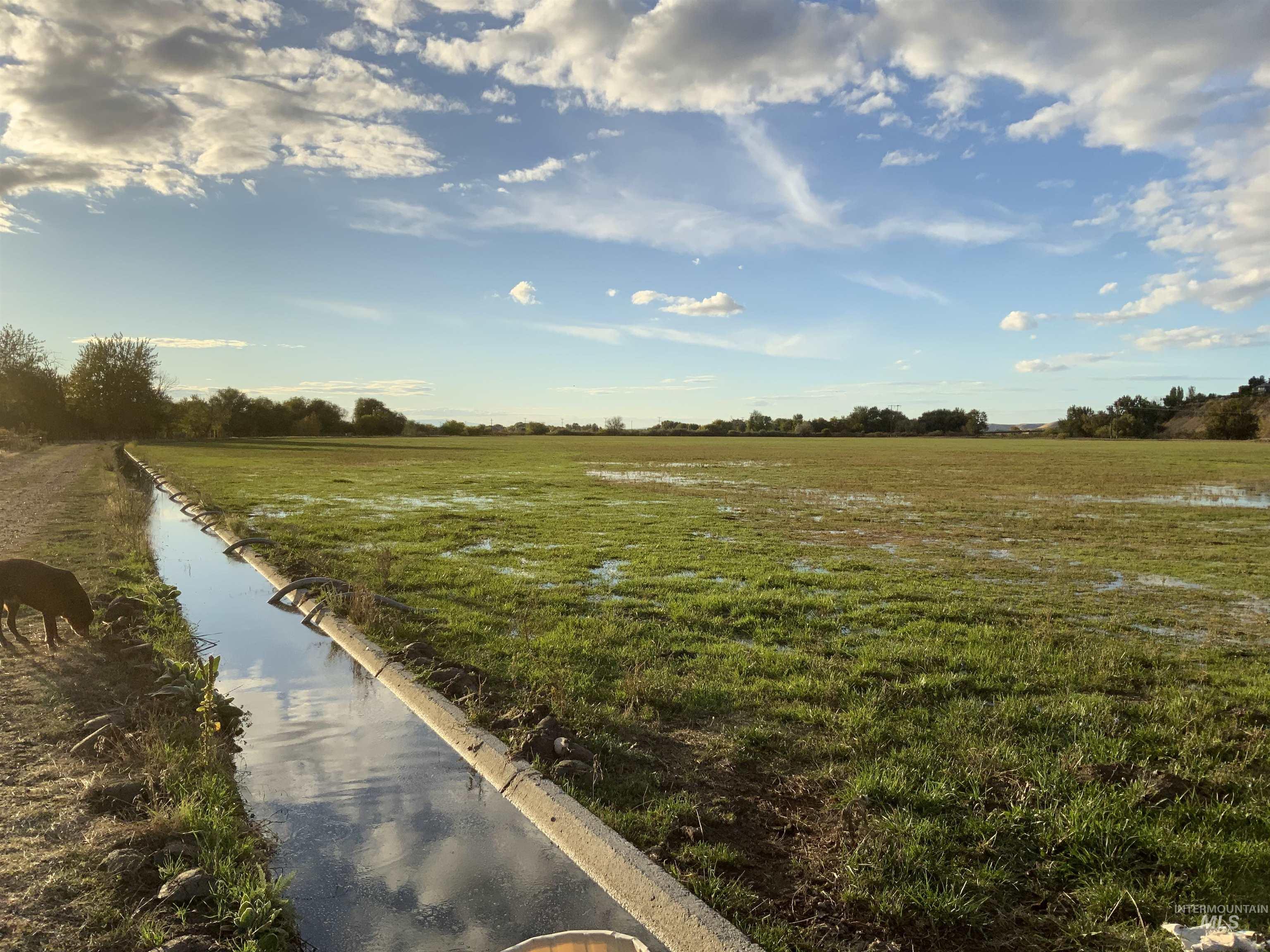 View of nature featuring rural landscape