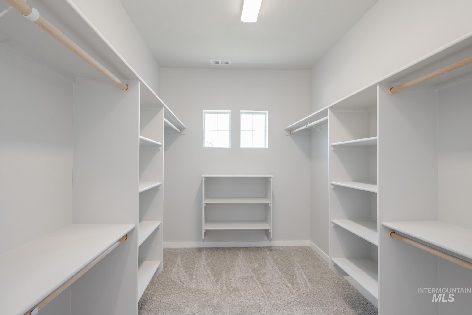 Walk in closet with carpet flooring