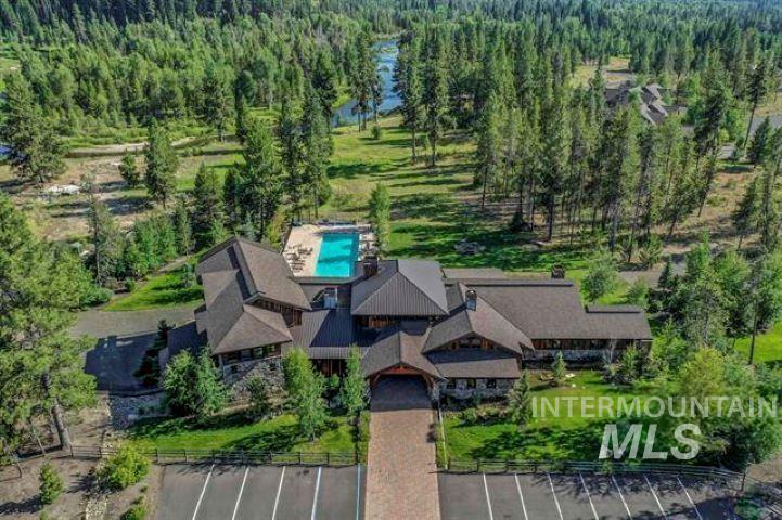 Aerial view of a forest