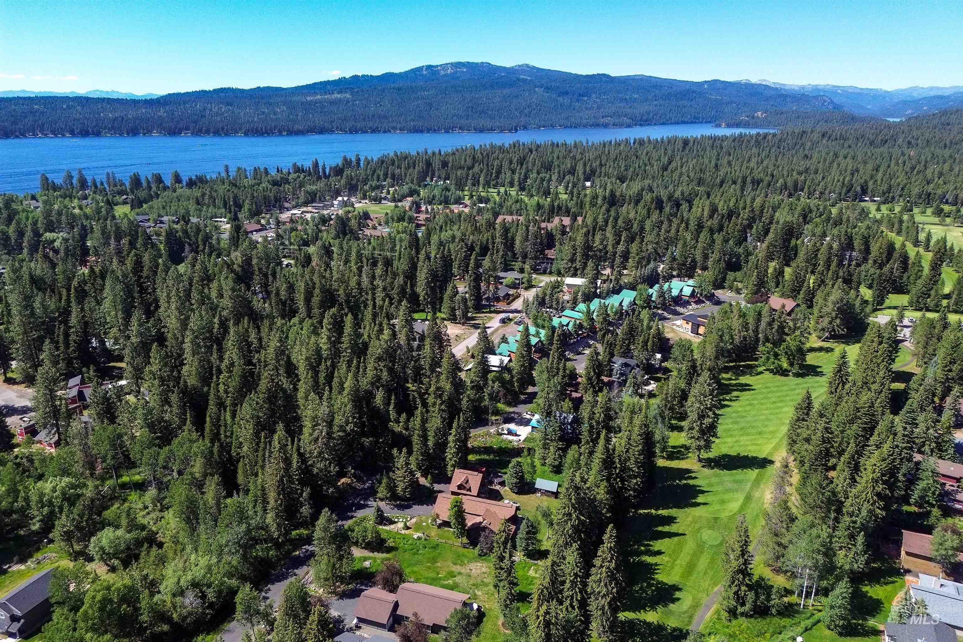 Aerial view of a forest and a water and mountain view