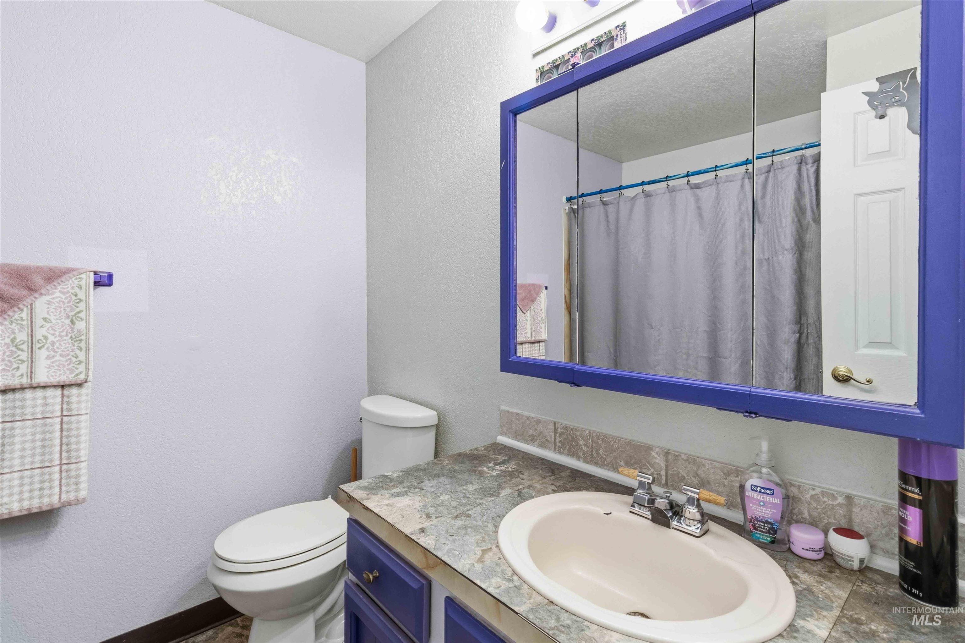 Bathroom featuring a white toilet, an oval undermount sink, a countertop with a stone-finish, and a medicine cabinet with a purple-finished frame