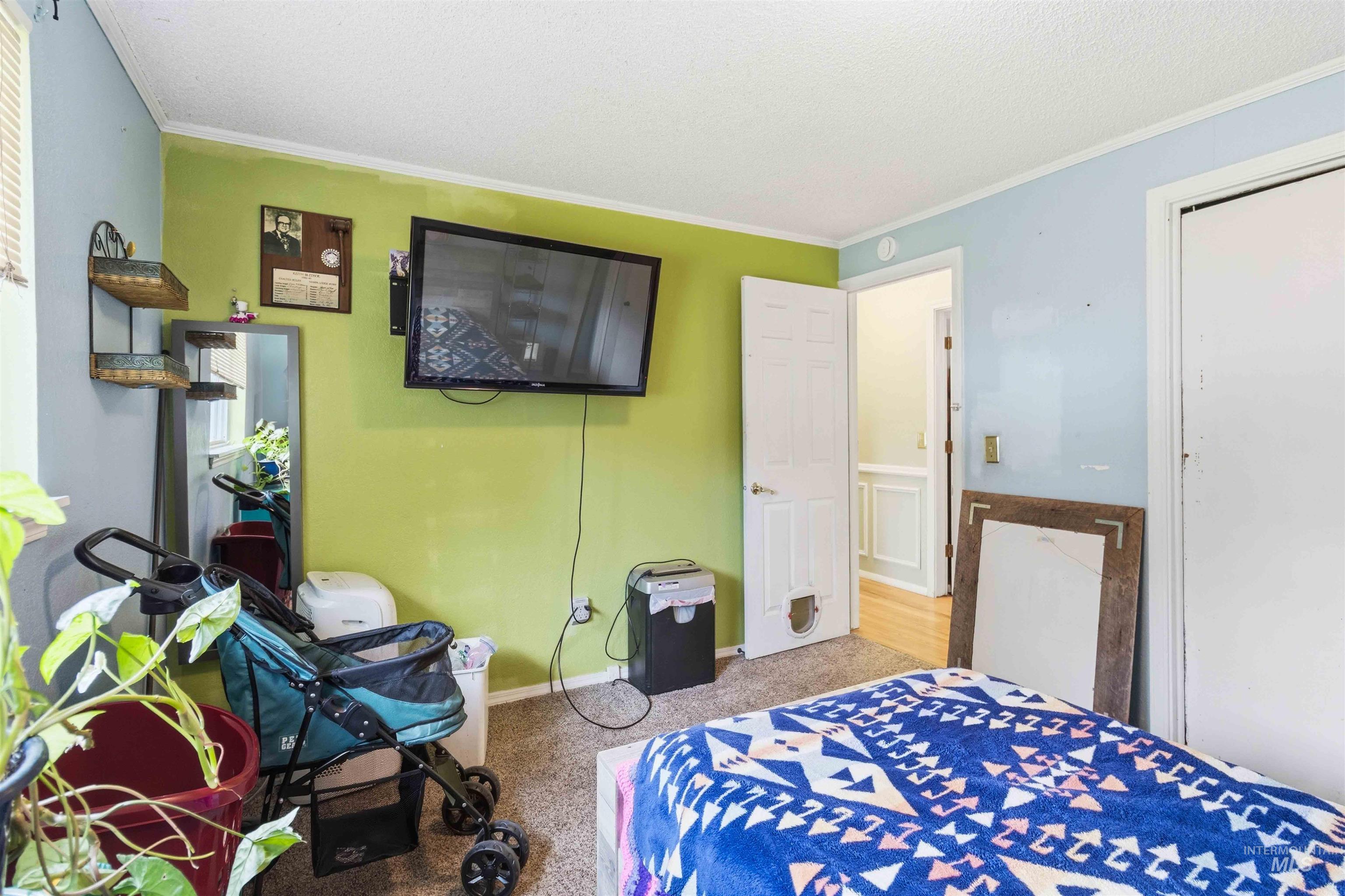 Carpeted room featuring a white ceiling, painted walls, and white trim