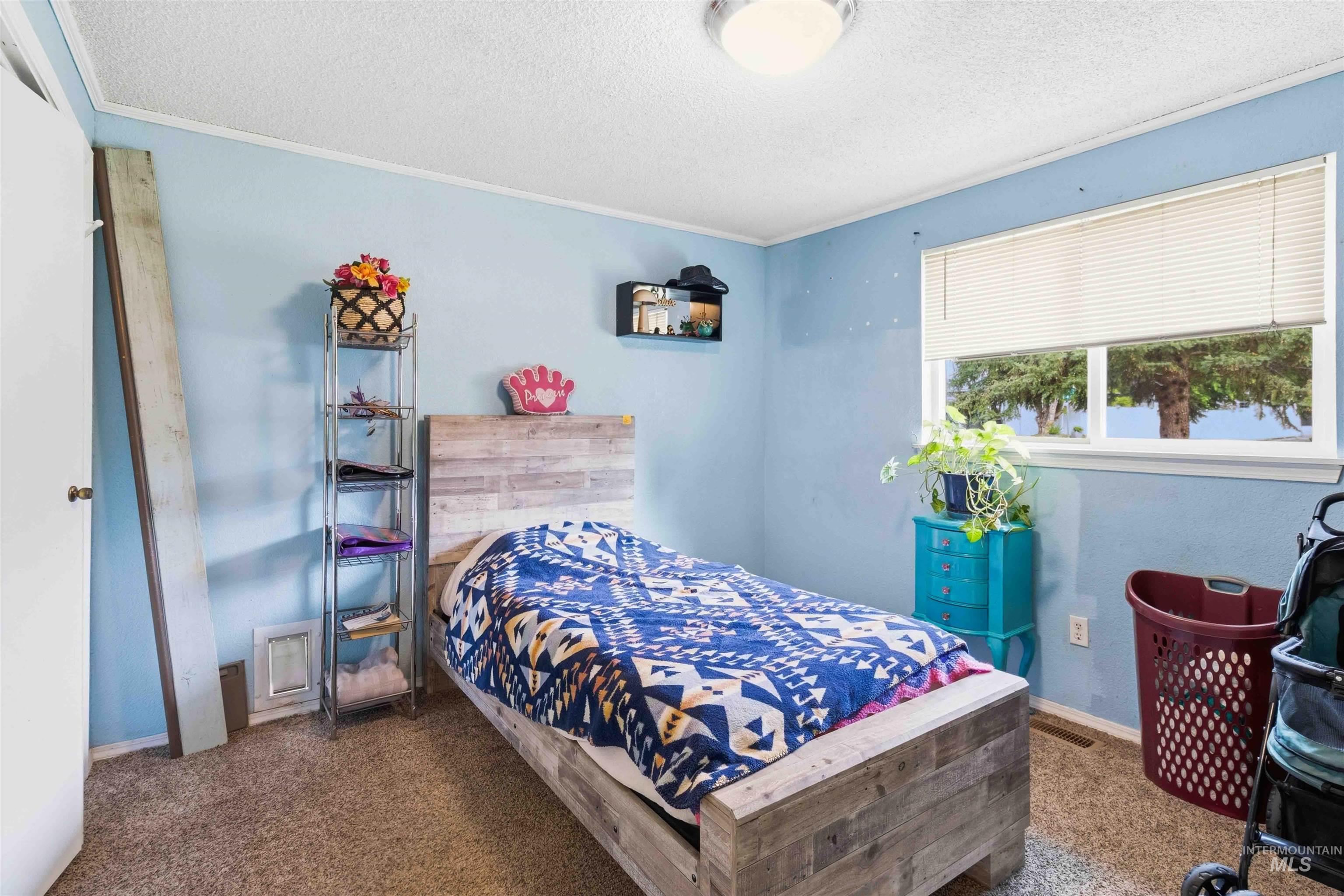 Carpeted room with a single window featuring horizontal blinds