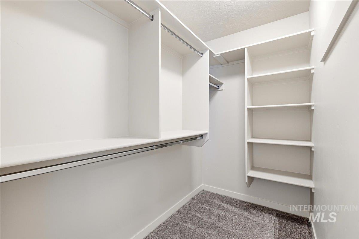 Walk-in closet featuring built-in shelving, white walls, and gray carpeting