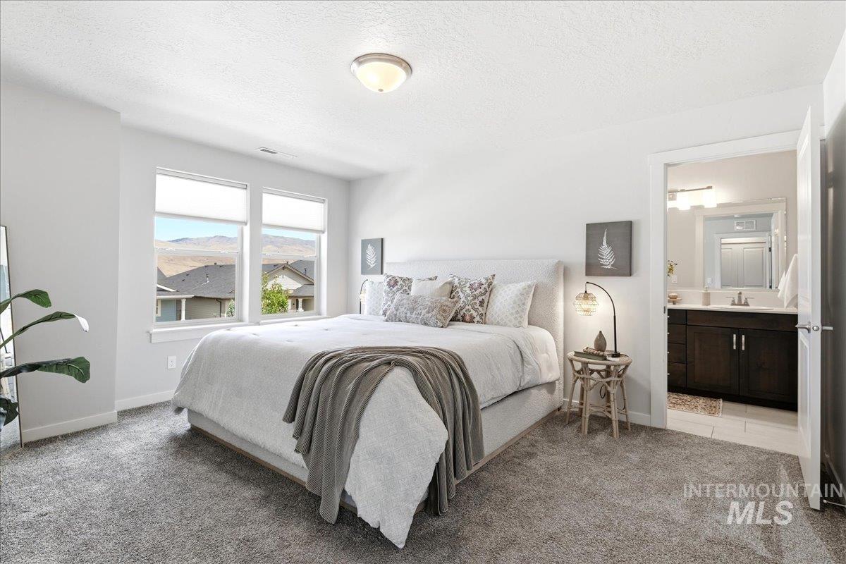 Carpeted bedroom featuring a large window with distant mountain scenery, an overhead light fixture, and an entry to a bathroom with a dark wood-finish vanity and mirror