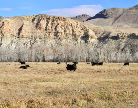 Photo of 24950 Hwy. 93, Challis, ID 83226 (MLS # 98968513)