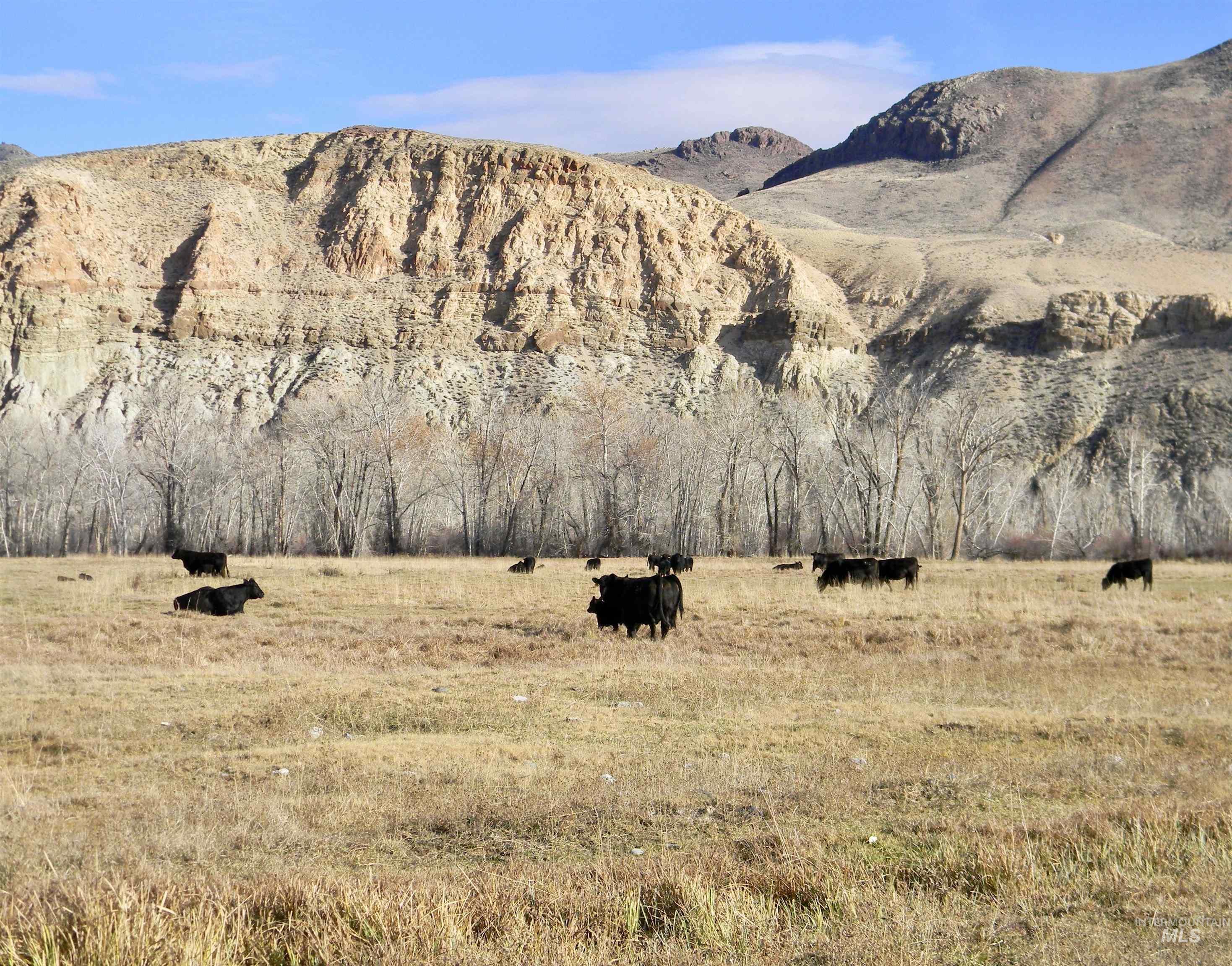 Mountain view featuring rural landscape