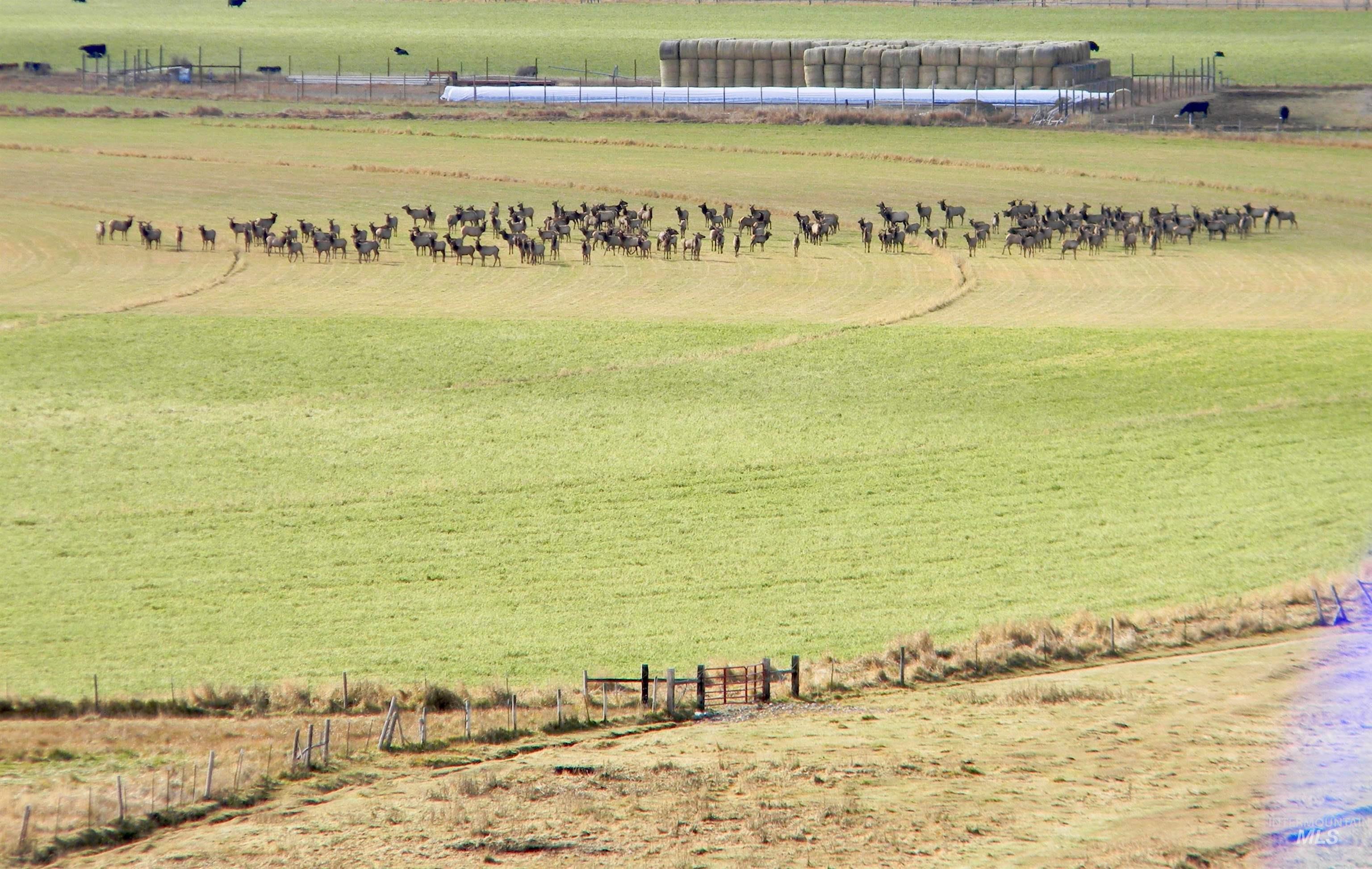 View of rural area with agricultural land