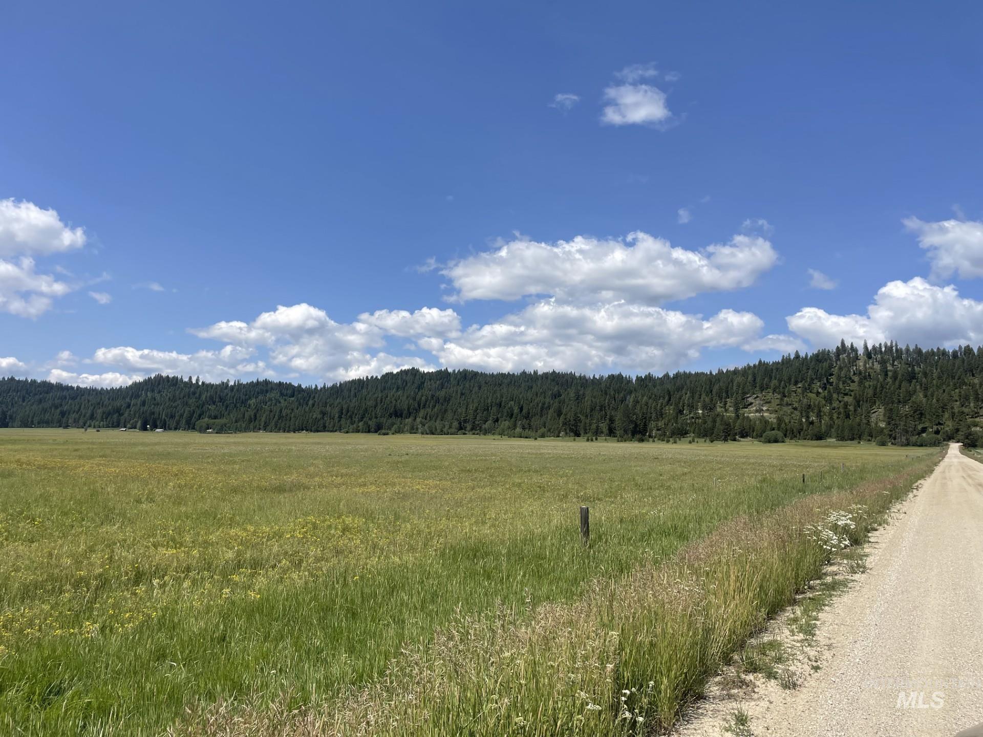 View of mountain background featuring a forest and rural landscape