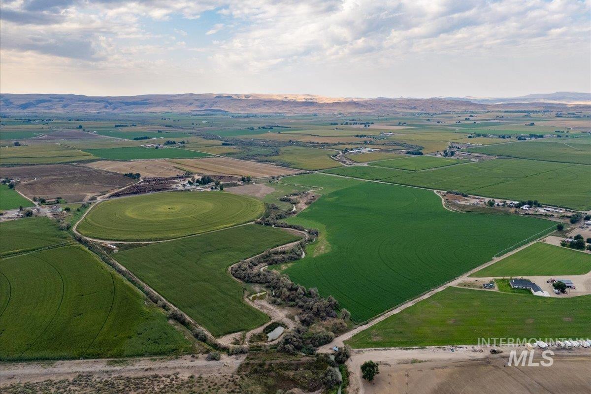 View of rural area featuring rows of crops