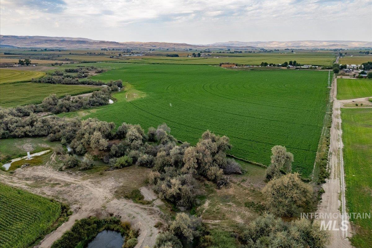 Aerial view of sparsely populated area featuring rows of crops and a mountain backdrop