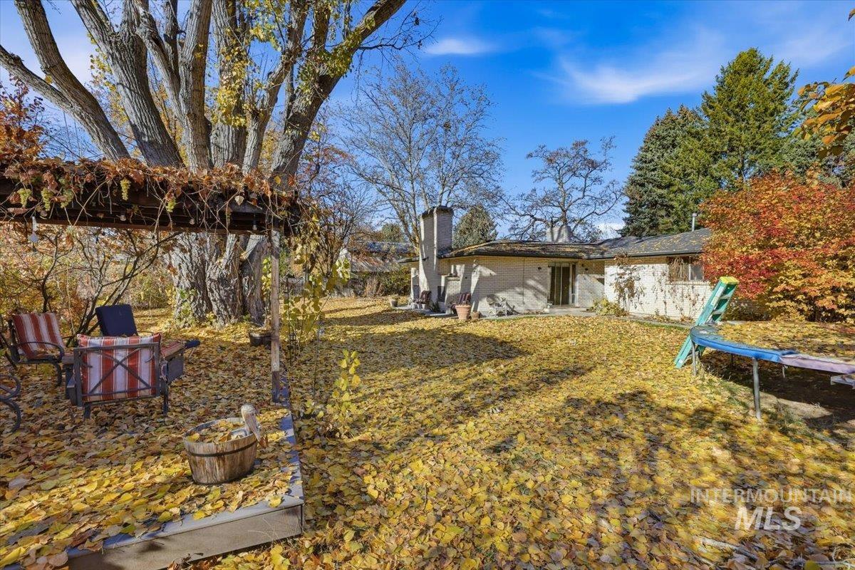 View of yard with a trampoline