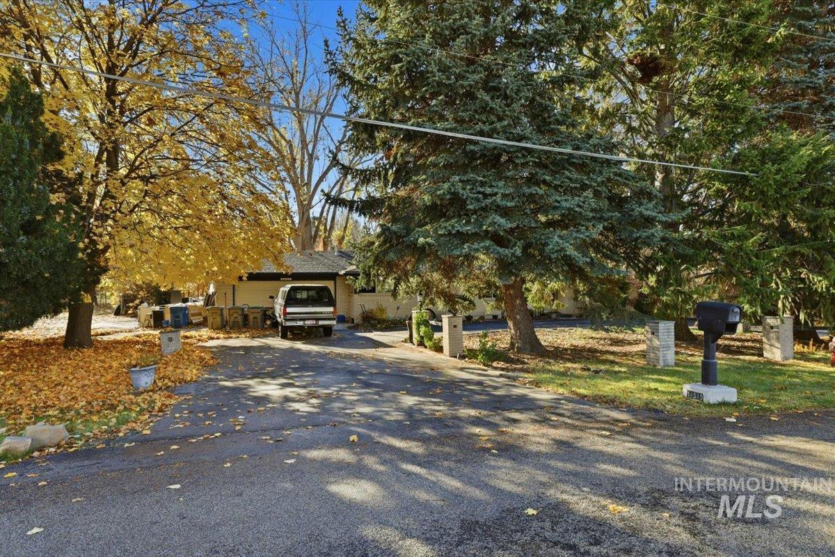 View of property hidden behind natural elements with driveway