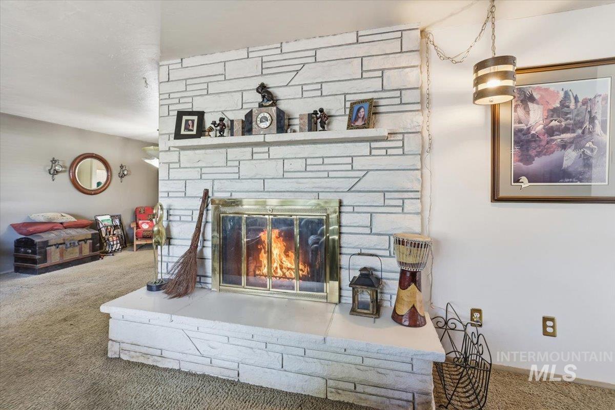 Detailed view of carpet floors and a fireplace
